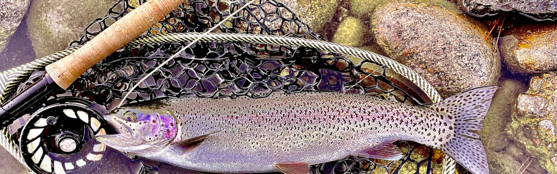 What Fly Fishing Gear Can You Save on, and What Should You Splurge on?