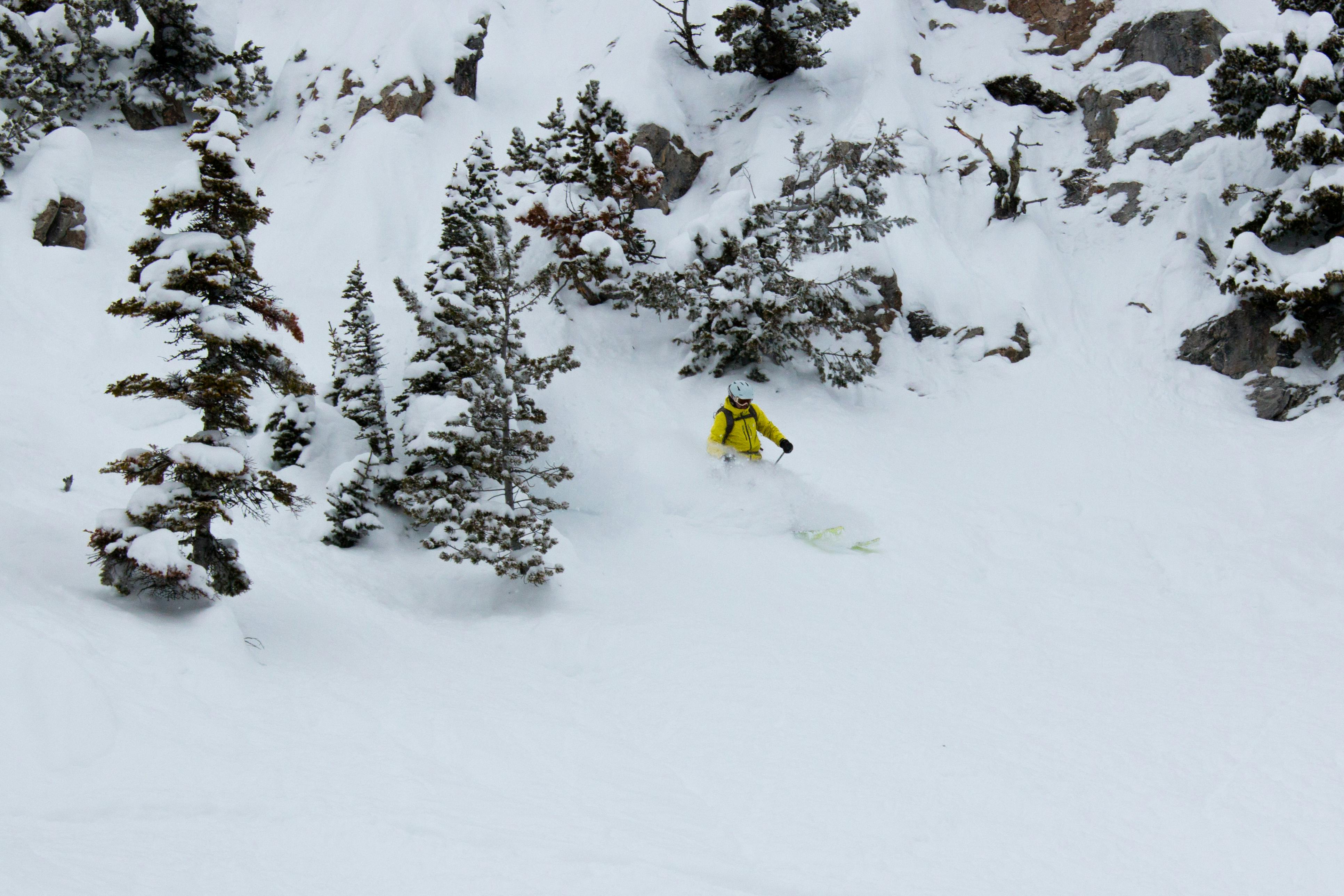 A skier in a yellow jacket makes their way down a mountain through powder