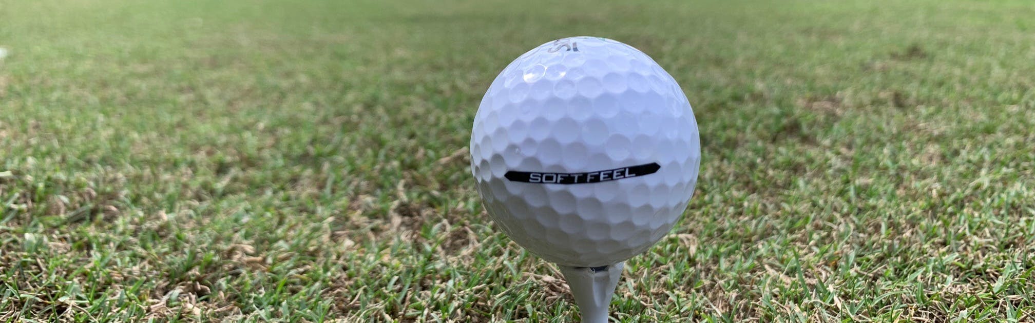 Expert Review: Srixon Soft Feel 12 Golf Balls 1 Dozen | Curated.com