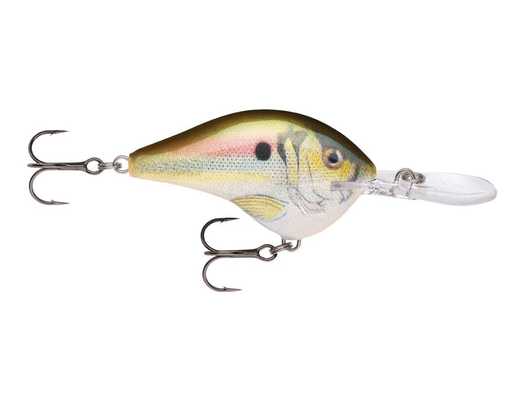 Rapala DT® (Dives To) Series · 2 in · 3/8 oz · Custom HD Live River Shad · 1 pk.