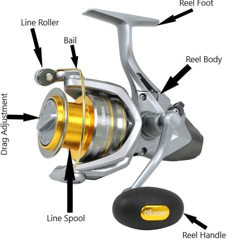 The anatomy of a spinning reel