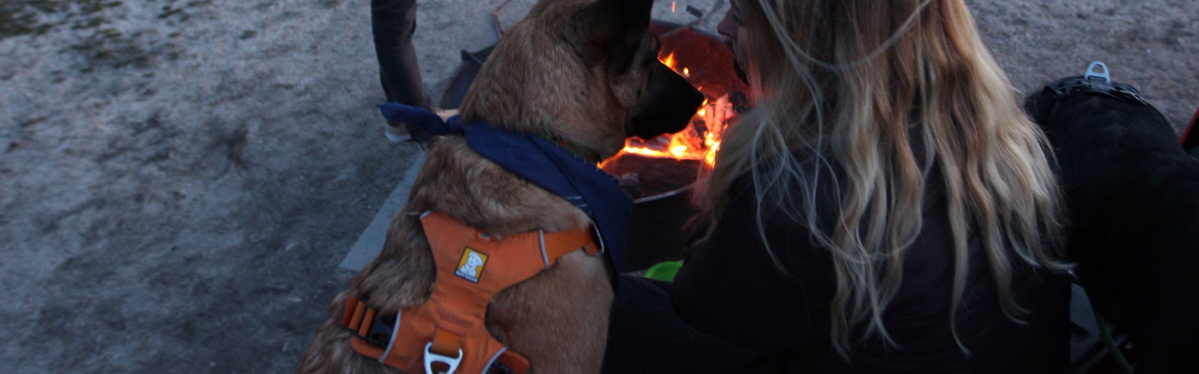 A woman and dog look at each other. The dog is wearing a harness and there is a fire in the background.