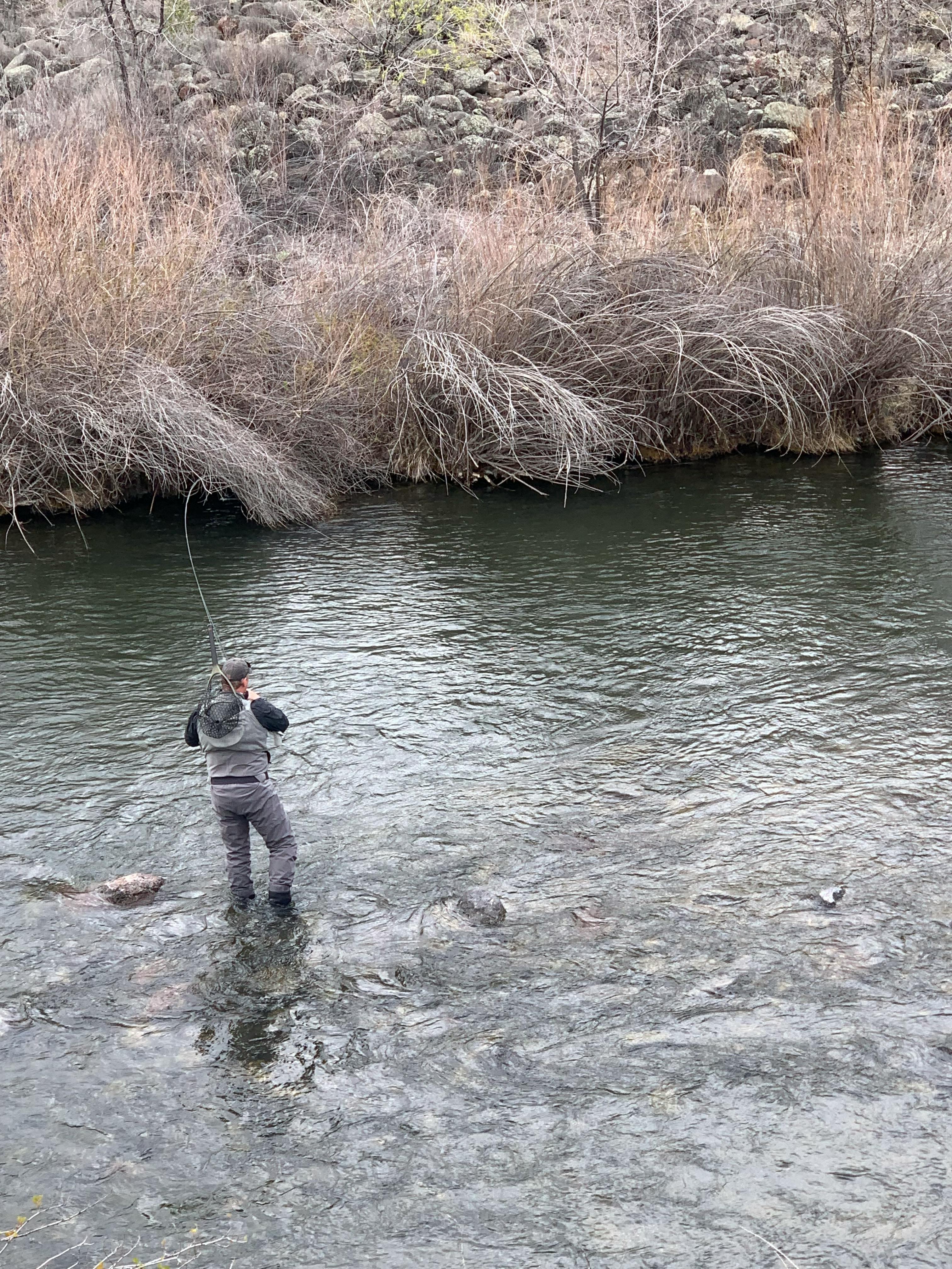 A man is fishing in a river. He is wearing waders.