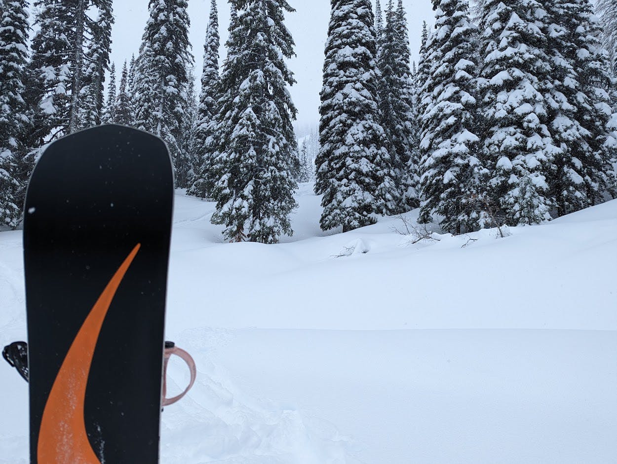 Expert Review: Never Summer Shaper Twin Snowboard · 2022 | Curated.com