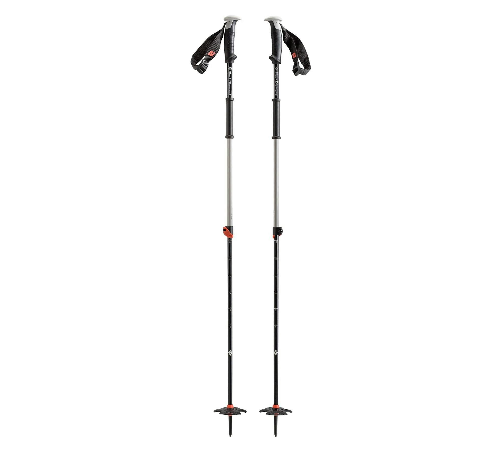 rossignol poker pro ski poles