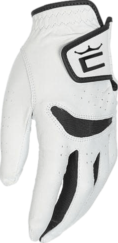 Cobra 2021 Men's Pur Tech Golf Glove · Left Hand · L · White/Grey