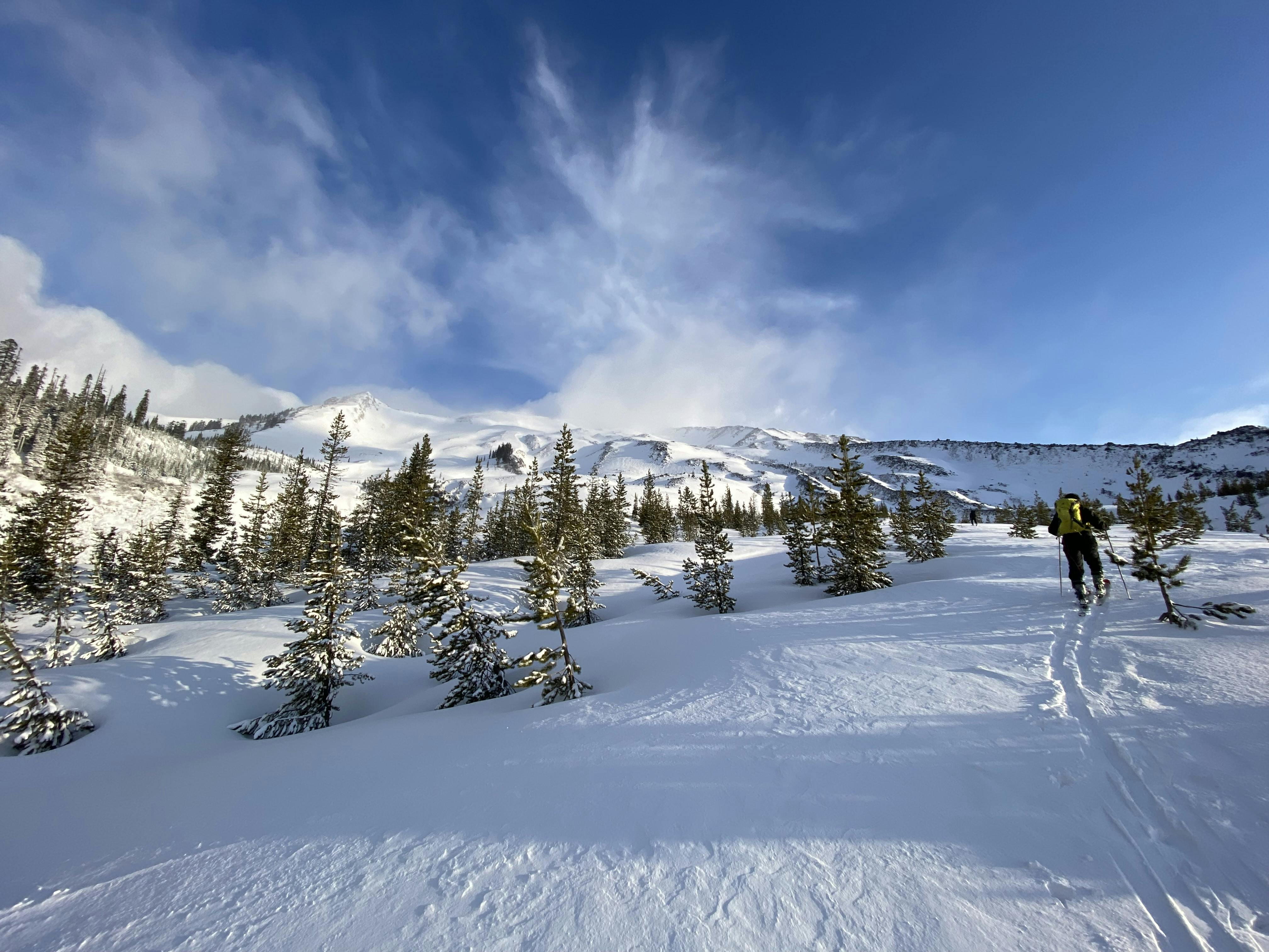 A snowy ski trail. 