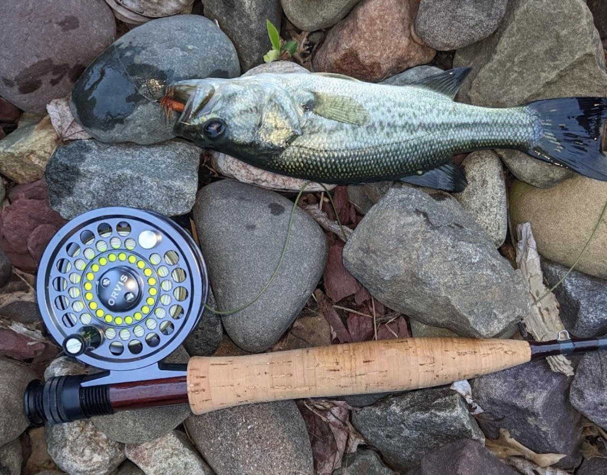 An Orvis Battenkill rod and reel next to a fish on a rock. 