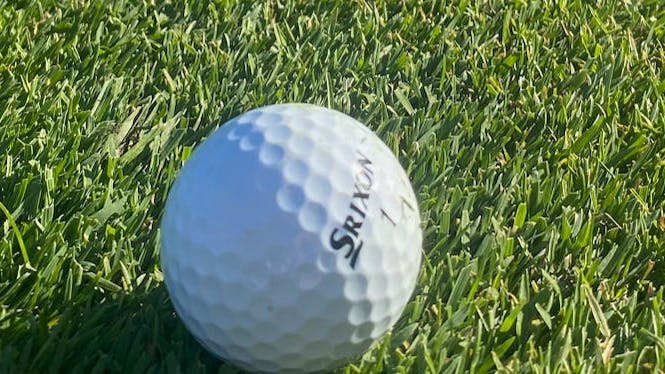 The Srixon Q-Star Tour 3 Golf Balls 1 Dozen.