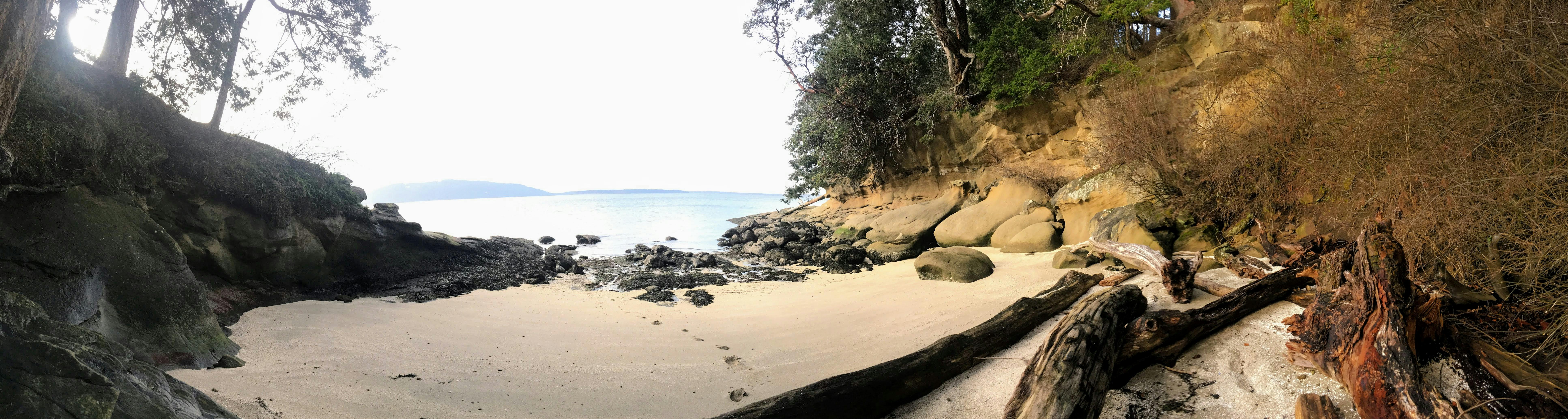 A sandy beach cove with rocks and driftwood
