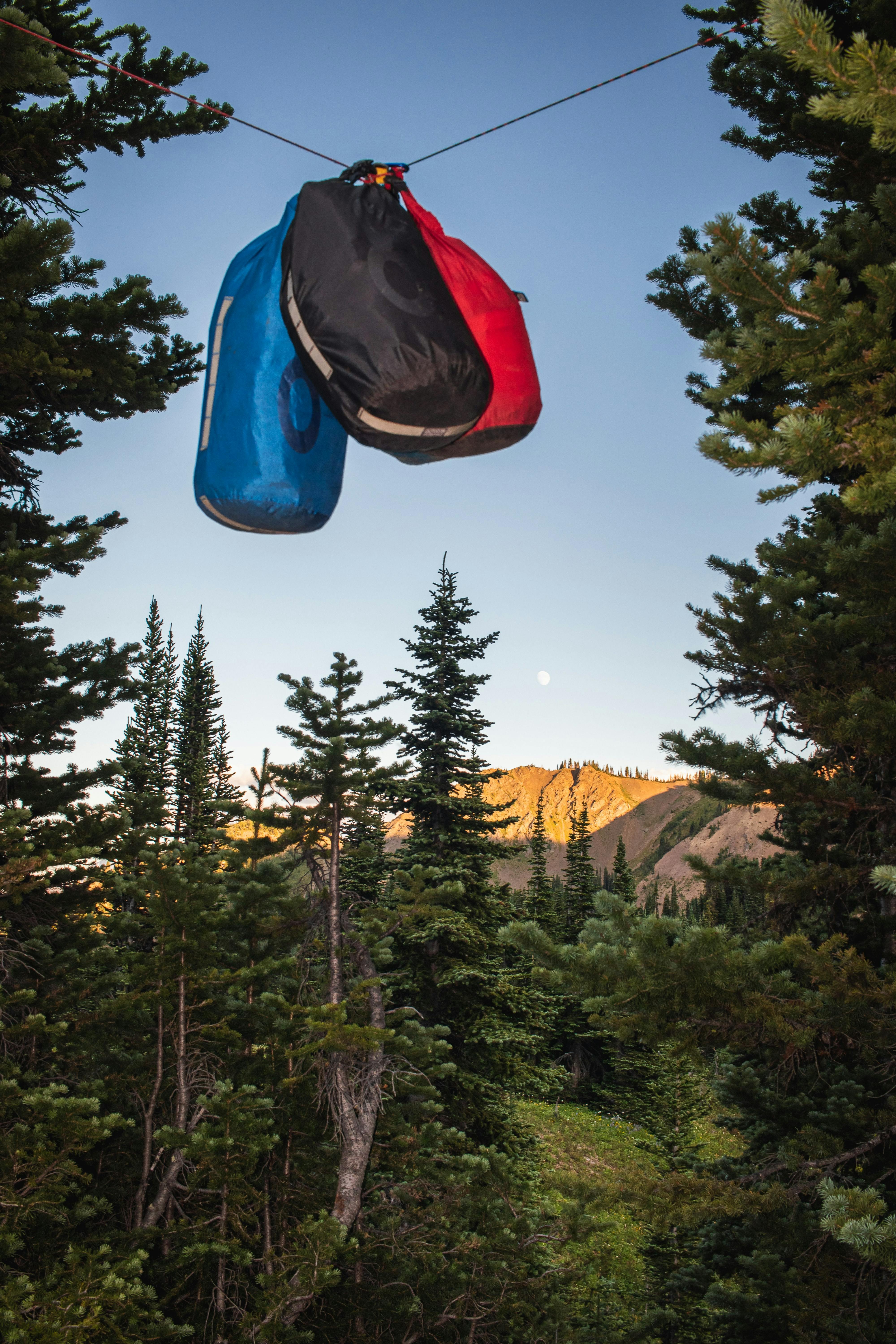 Three bear bags hang high between two trees in the backcountry. The bags are black, blue, and red.