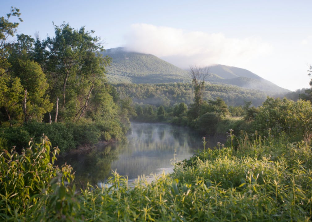 A misty scene of green grass, trees, and mountains in the distance with a river flowing through