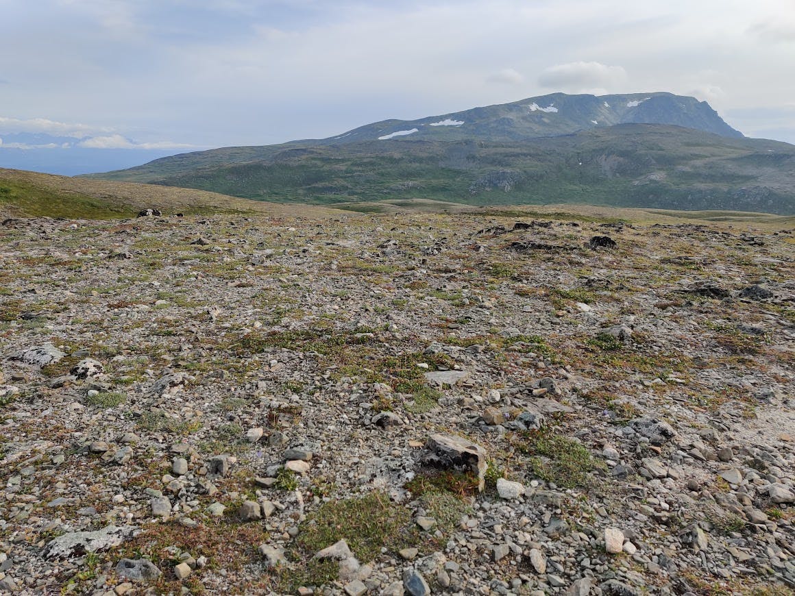 Choose somewere soft, and not too rocky like this field in Denali State Park, in Alaska, when picking a tentsite!