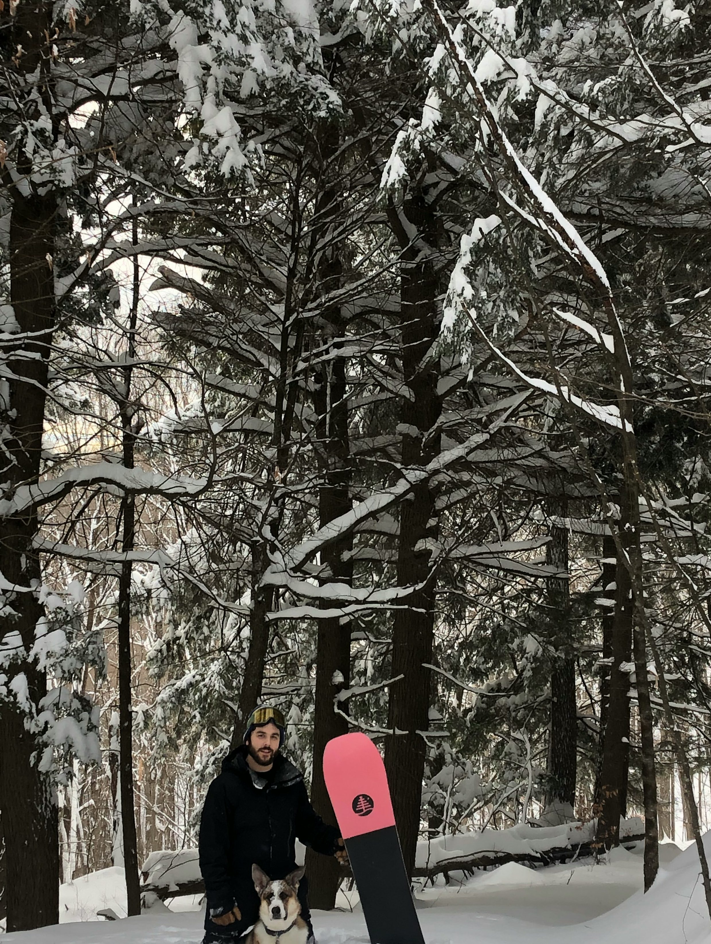 Snowboard Expert Corry B