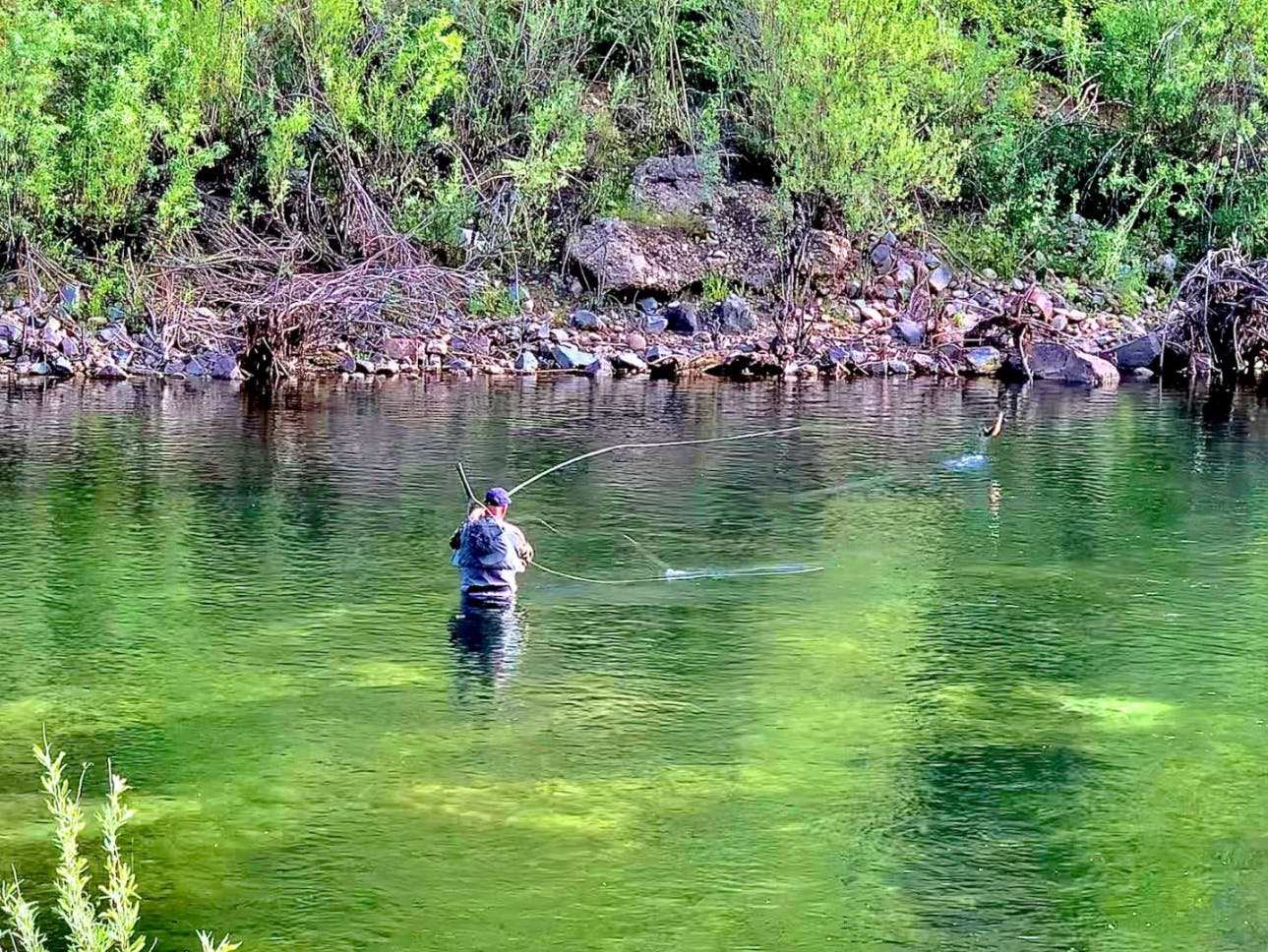 A man fly fishing in a river. 