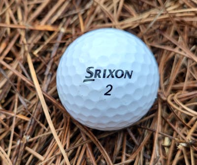 The Srixon Q-Star Golf Ball laying in some hay.