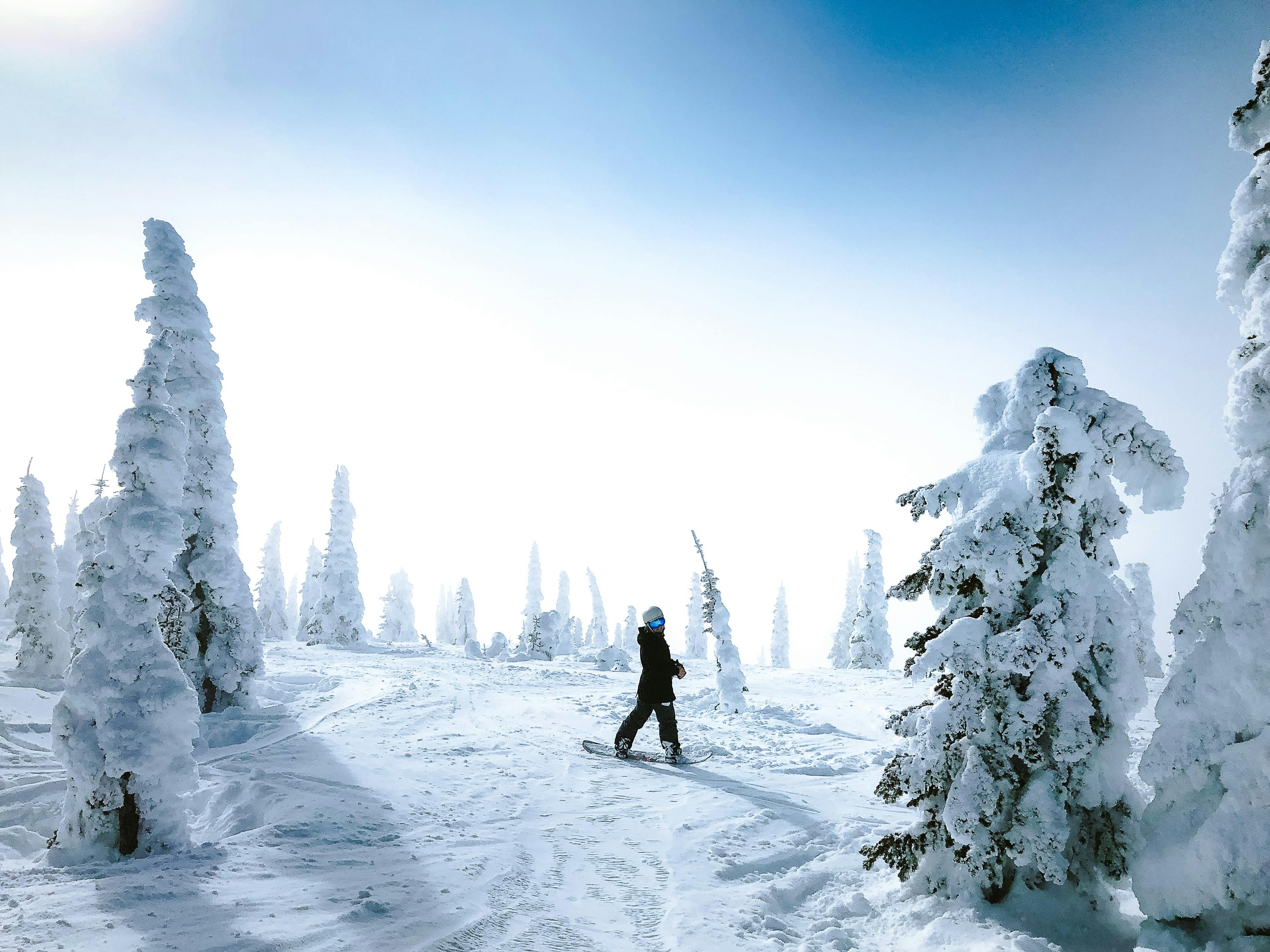 A snowboarder standing on a snowboard between snowy trees.