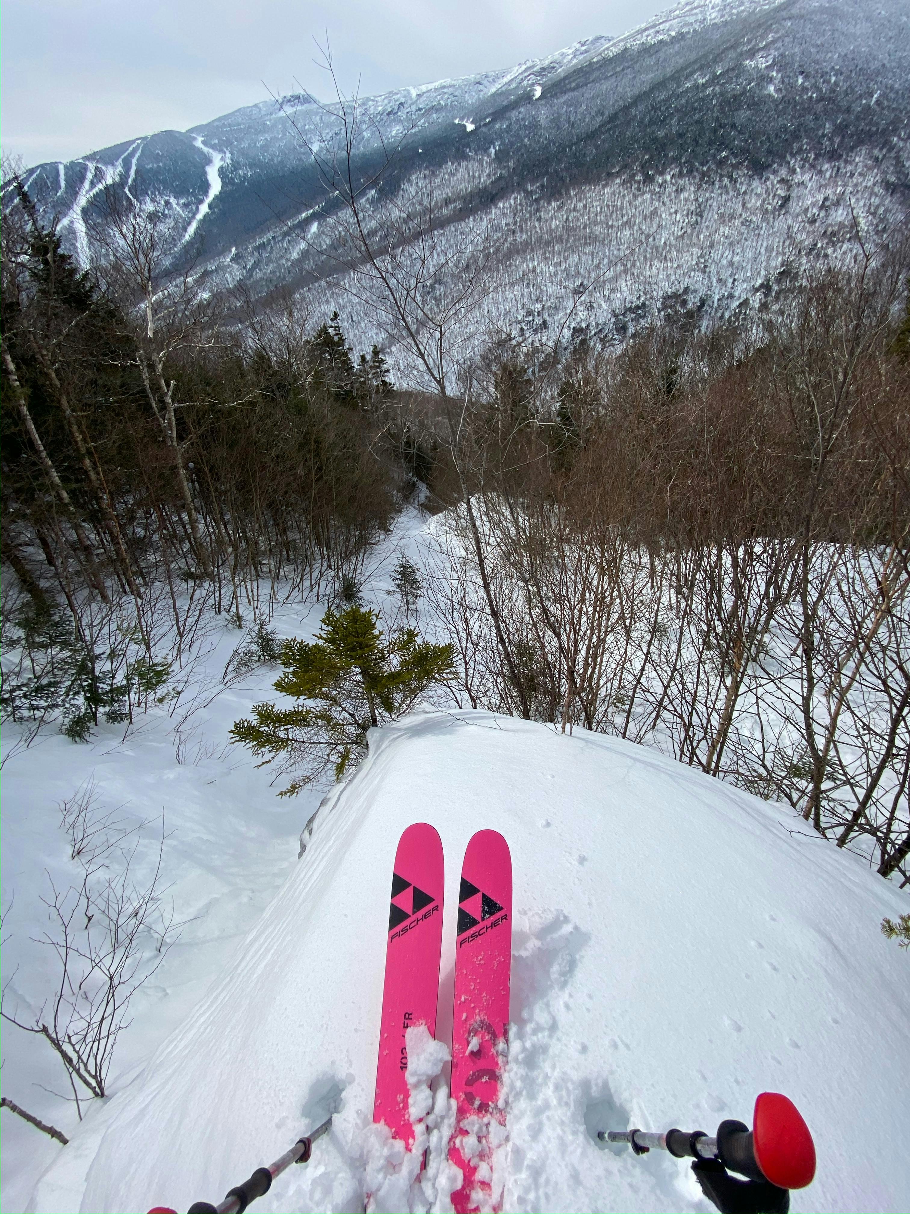 Top down view of the Fischer Ranger 102 FR Skis · 2022.