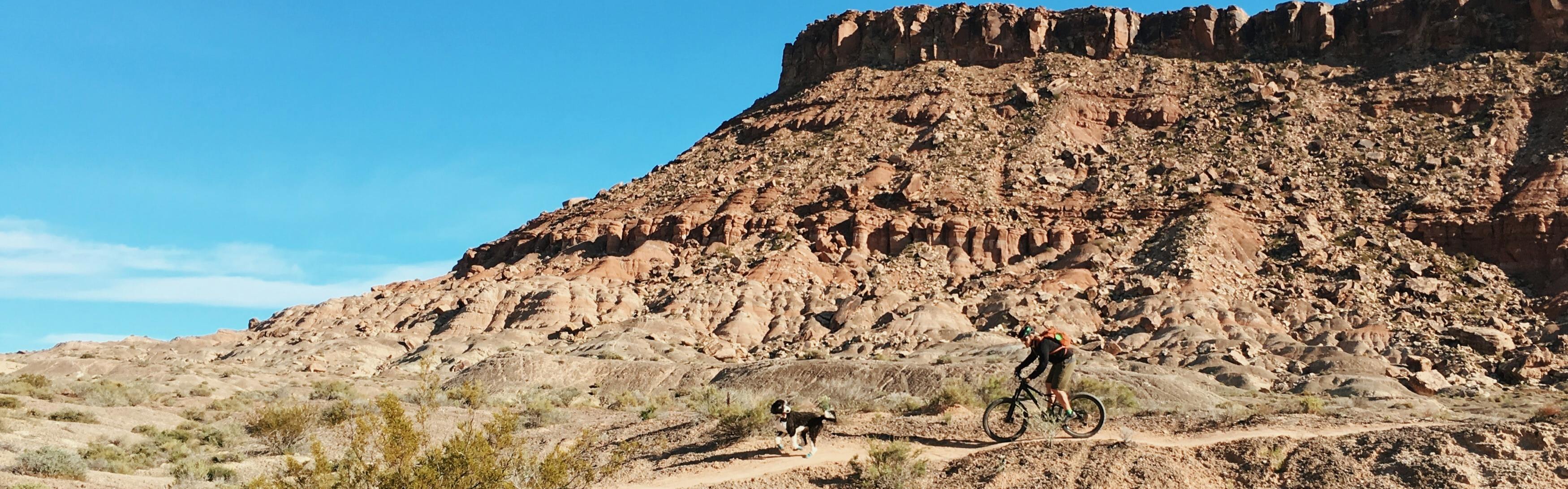 A biker biking in the desert with a dog.