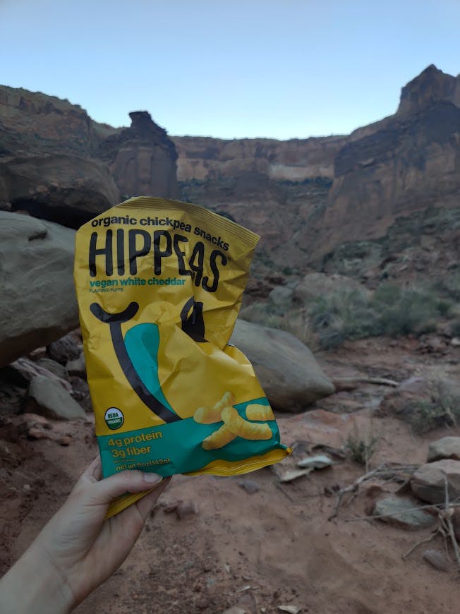 A bag holding up a bag of chips with a desert landscape behind it. 