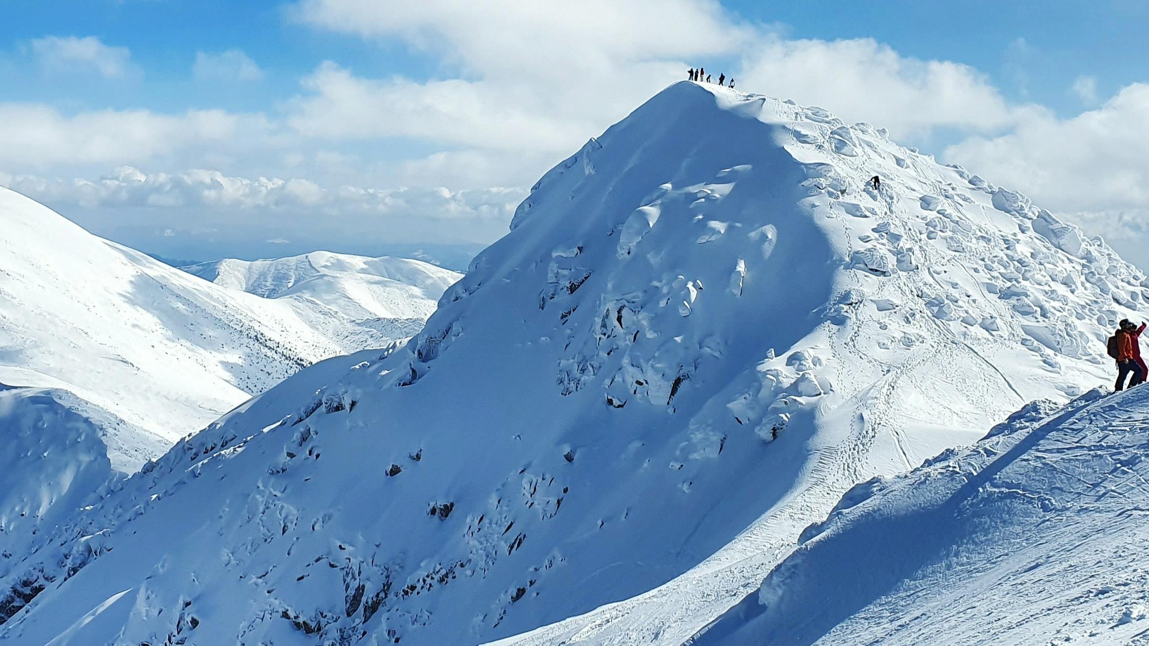 People stand on snowy mountaintops preparing to ski down them.
