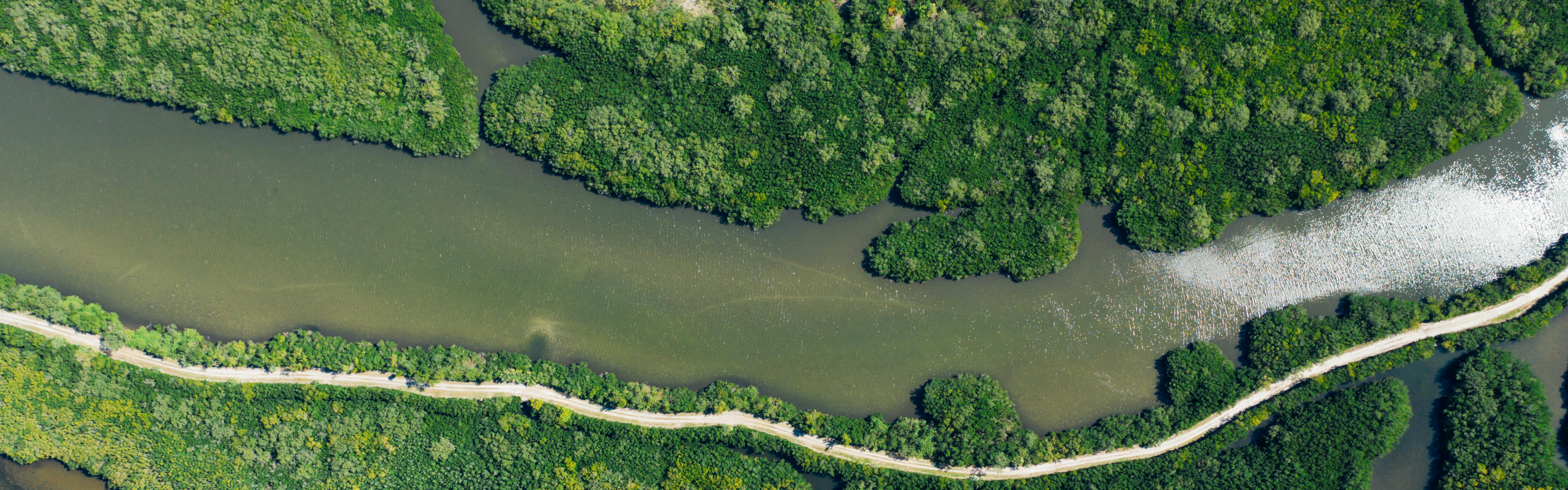 Aerial photo of a river. There are trees all around it and a road visible that follows the river.