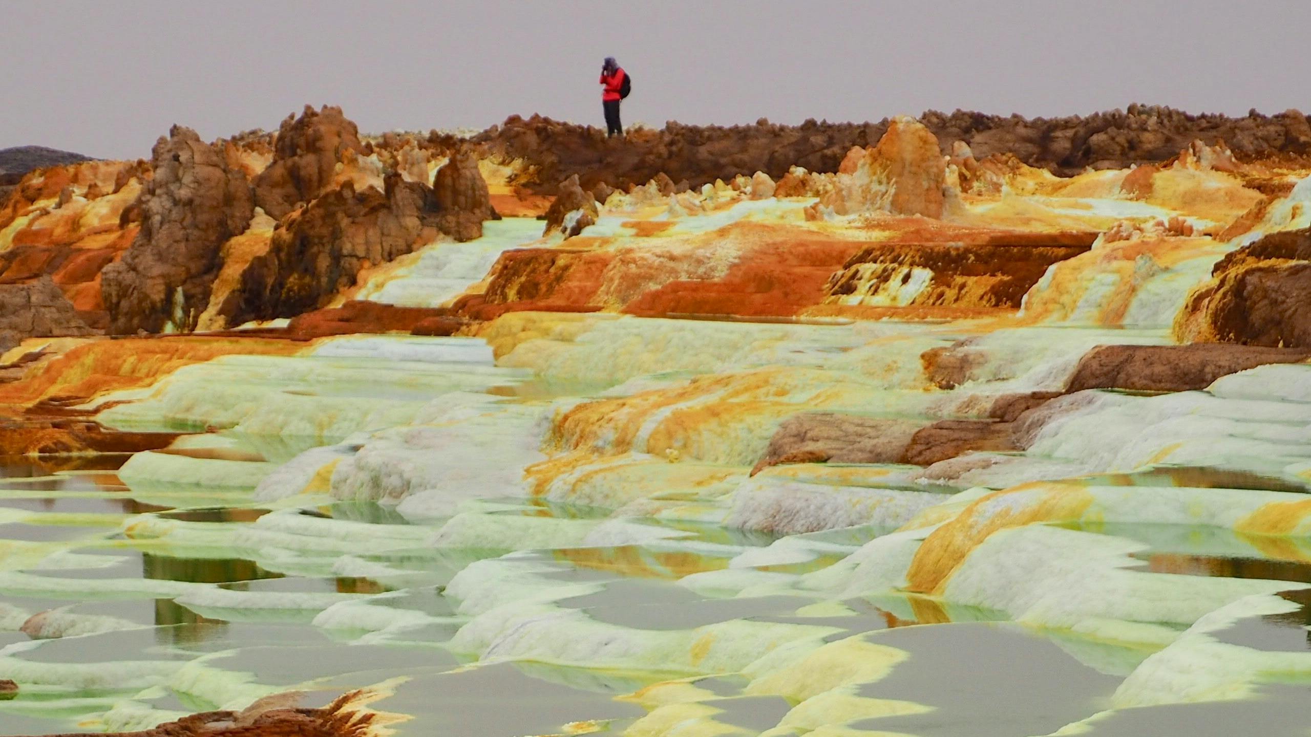 A photographer in the background of a vividly orange and green landscape
