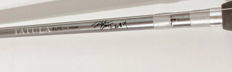 Daiwa Tatula Elite Series Casting Rod, 7ft 3in, Heavy, Fast, 1