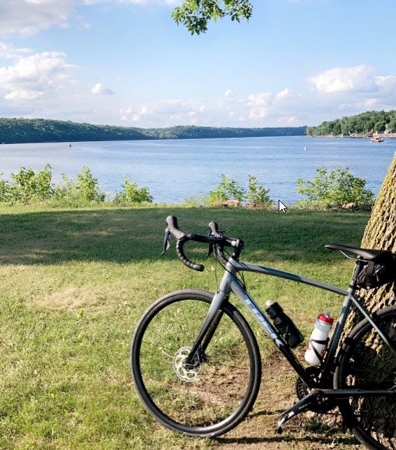 A bike parked next to a tree looking out on the Mississippi Trail. 