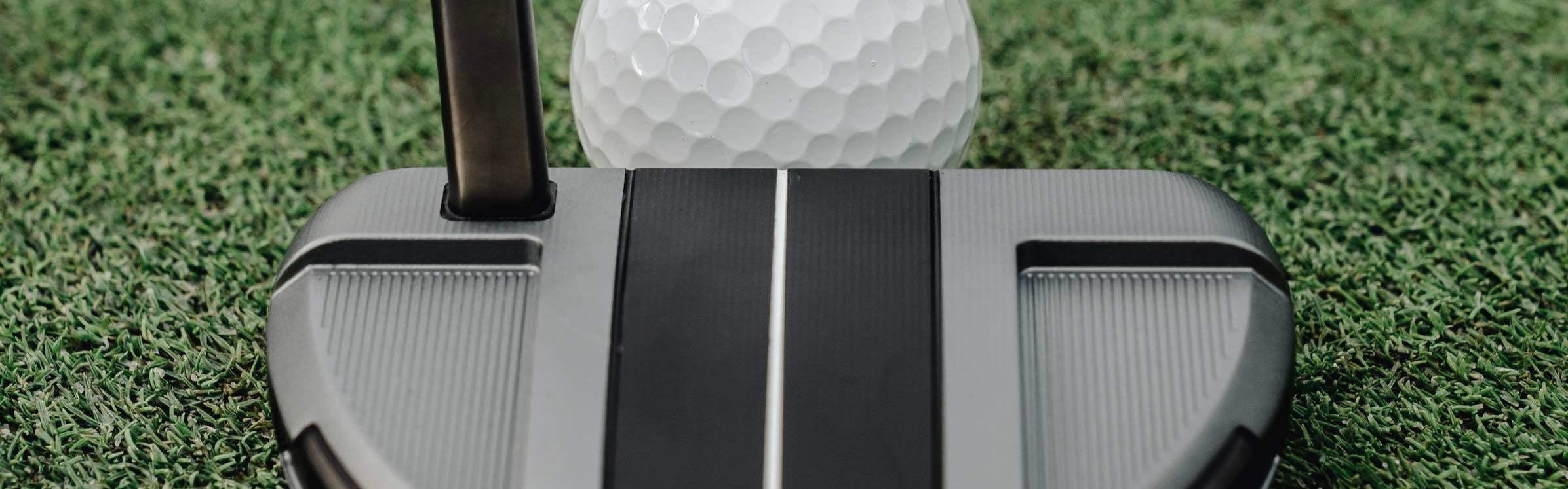 Expert Review: TaylorMade Spider GT Rollback Silver #3 Putter | Curated.com