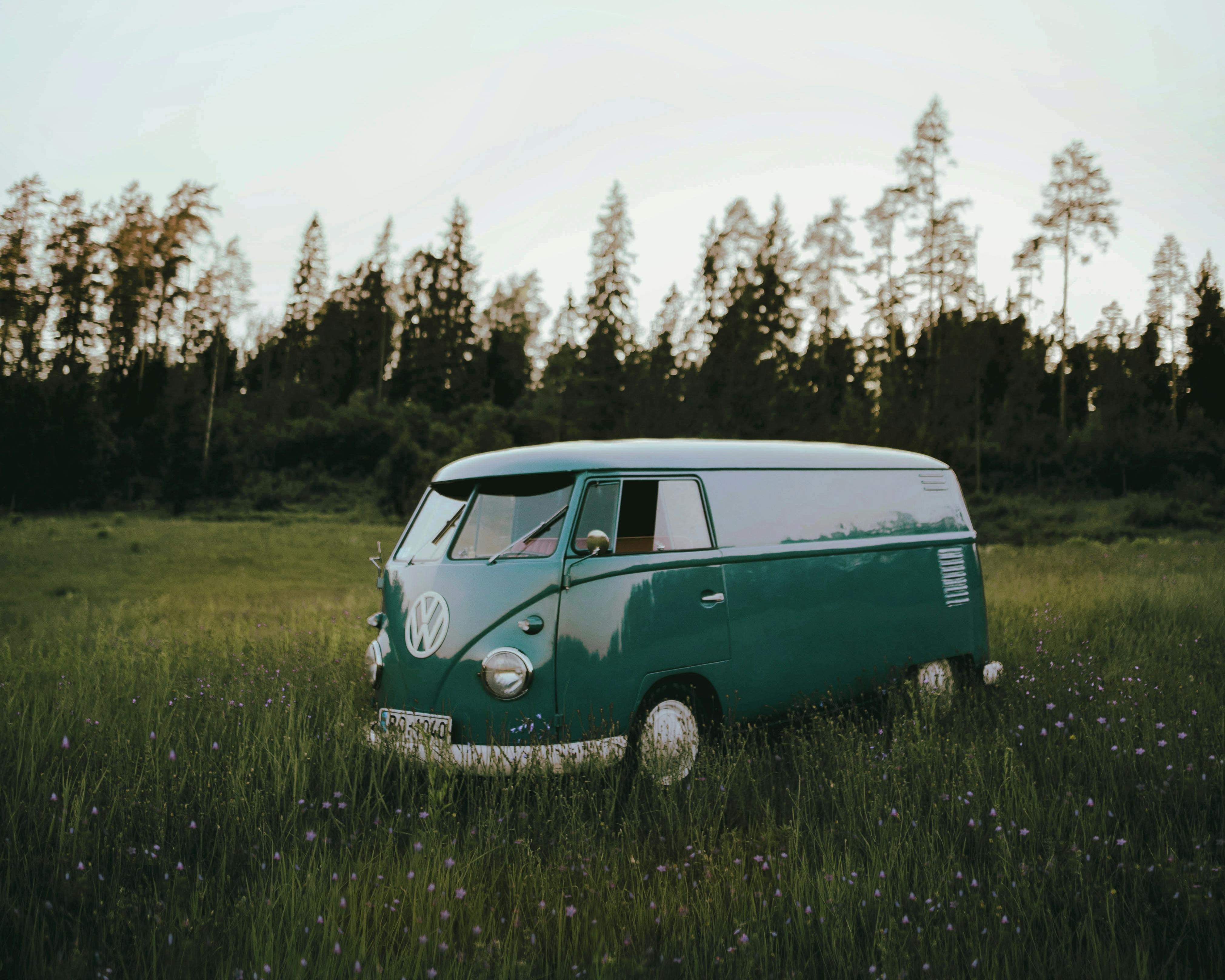 A green Volkswagen campervan in a grassy field