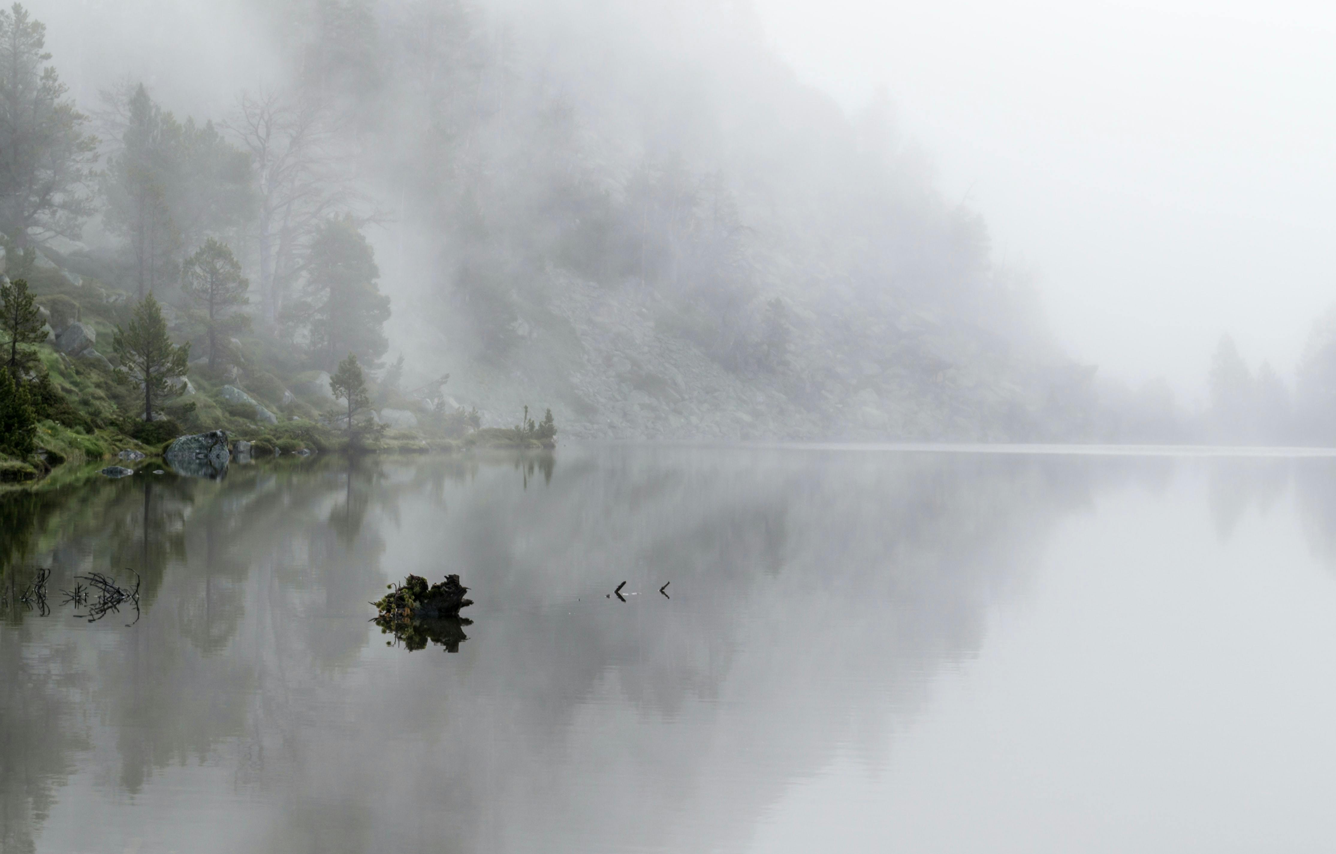 A foggy lake with trees on the bank