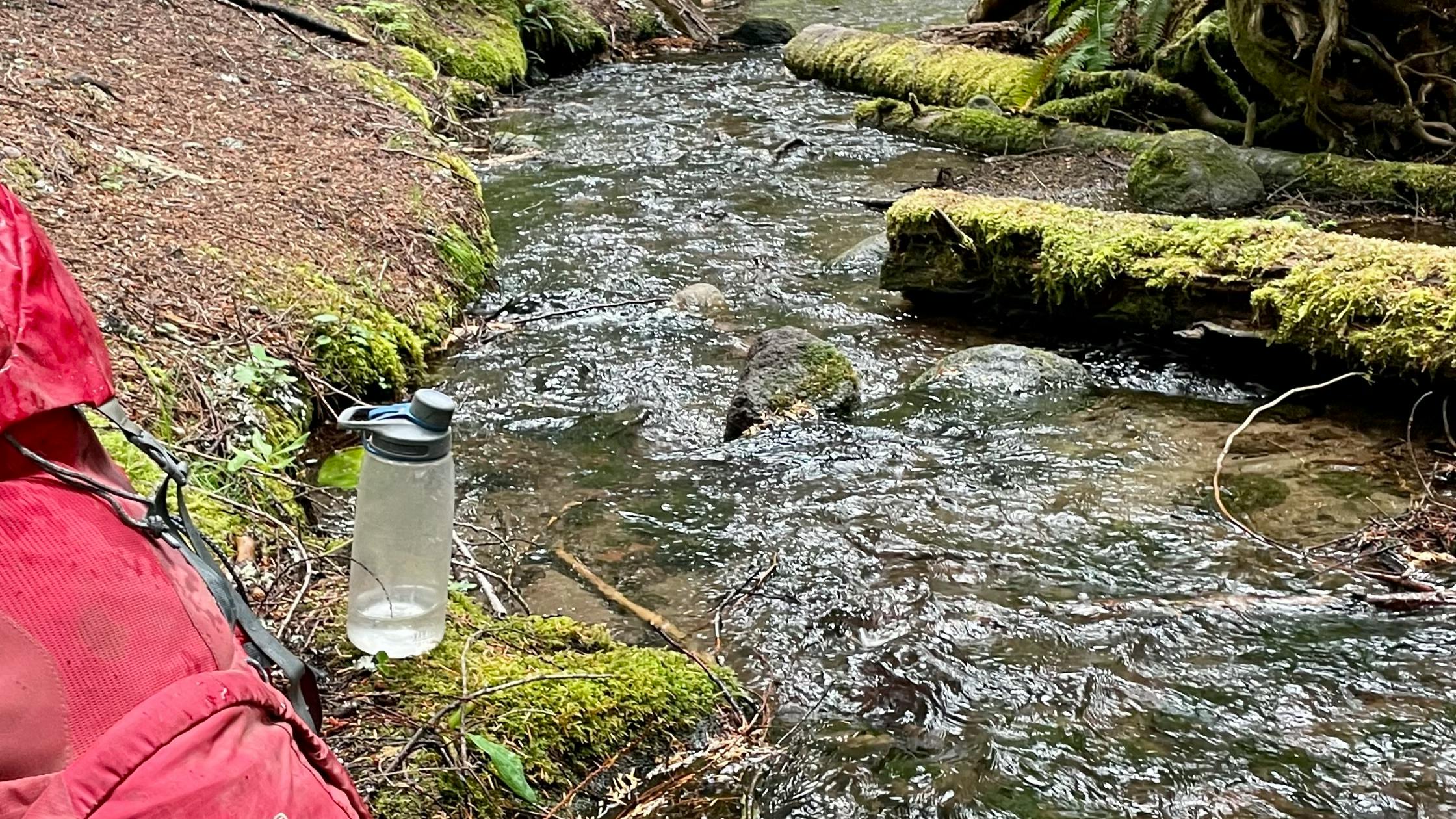 The author's large-capacity red Deuter backpack sits on the bank of a creek next to her water-filtering water bottle. In the creek are moss-covered logs, and it looks as if it has recently rained. 