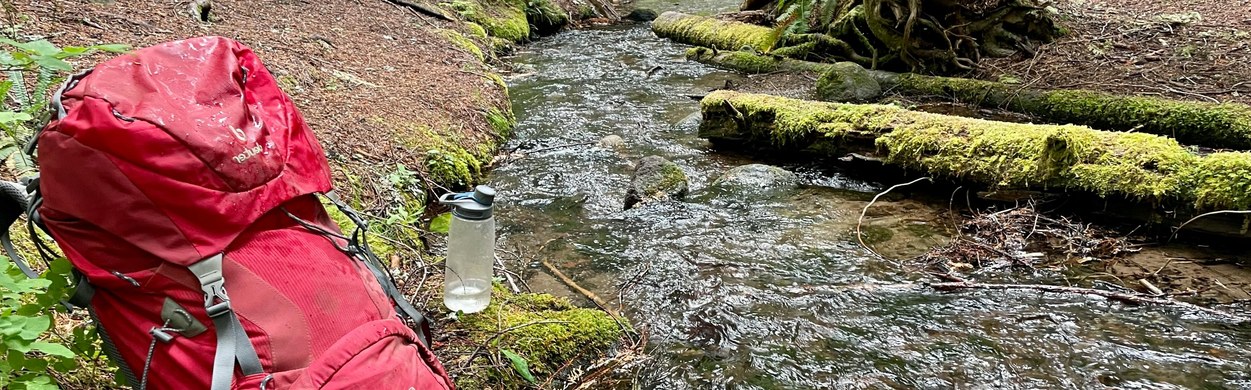 The author's large-capacity red Deuter backpack sits on the bank of a creek next to her water-filtering water bottle. In the creek are moss-covered logs, and it looks as if it has recently rained. 