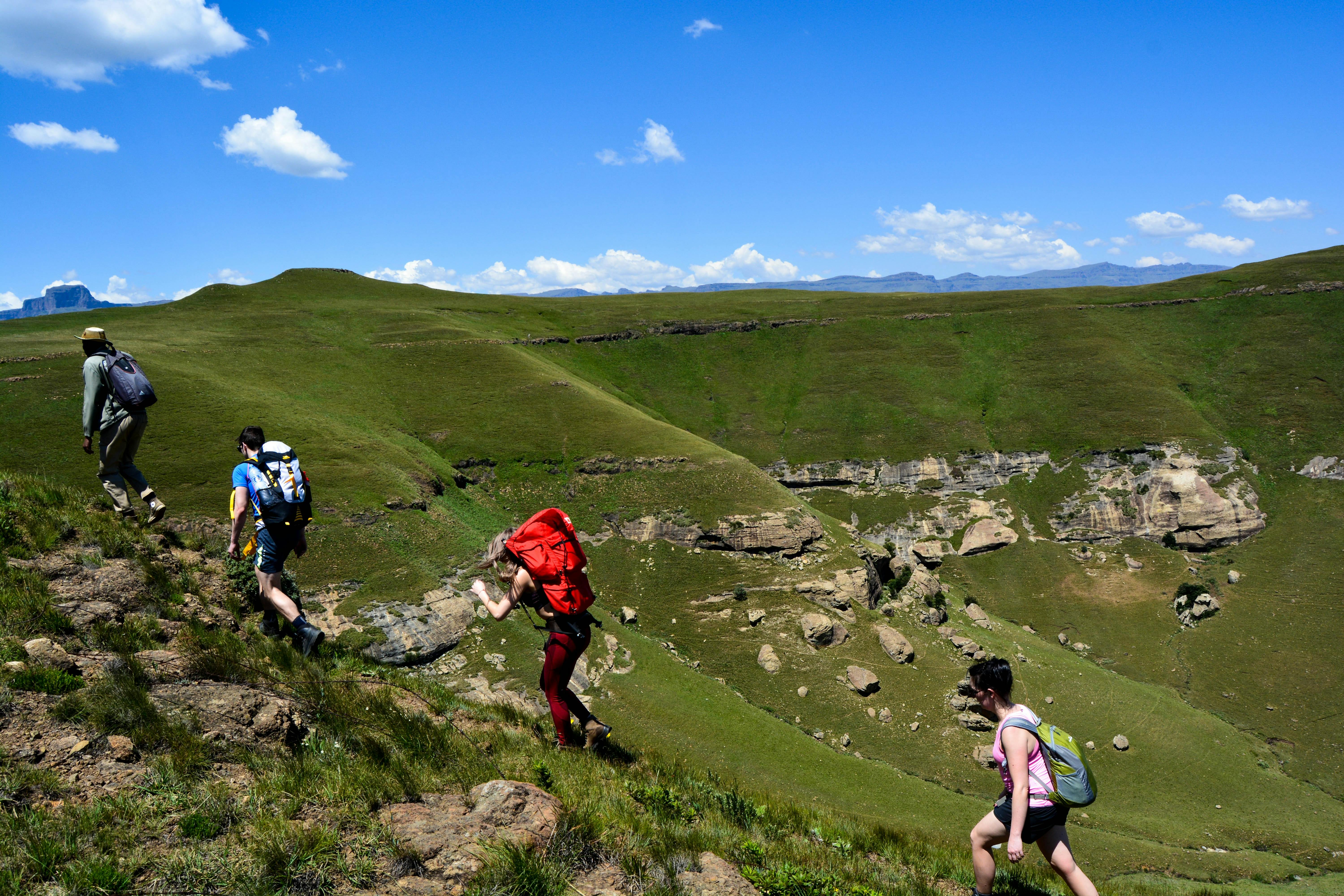 Four people hike up a green and rocky hillside. The sky is a brilliant blue above them. 