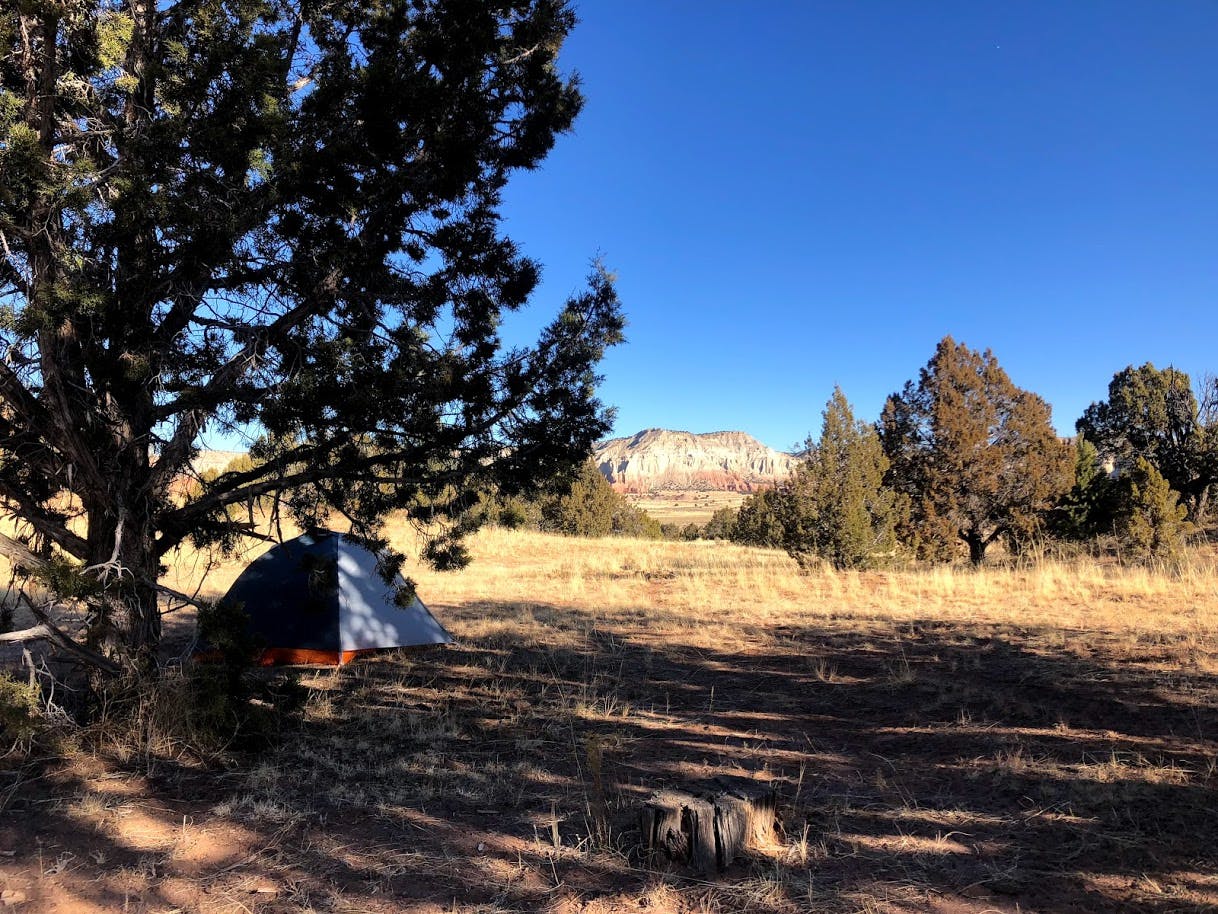A tent sits in the shade of a pine tree. The landscape is arid.