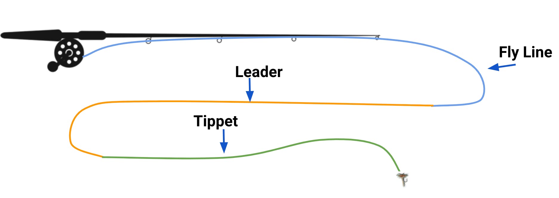 Diagram of a fly road indicating where the leader, tippet, and fly line are.