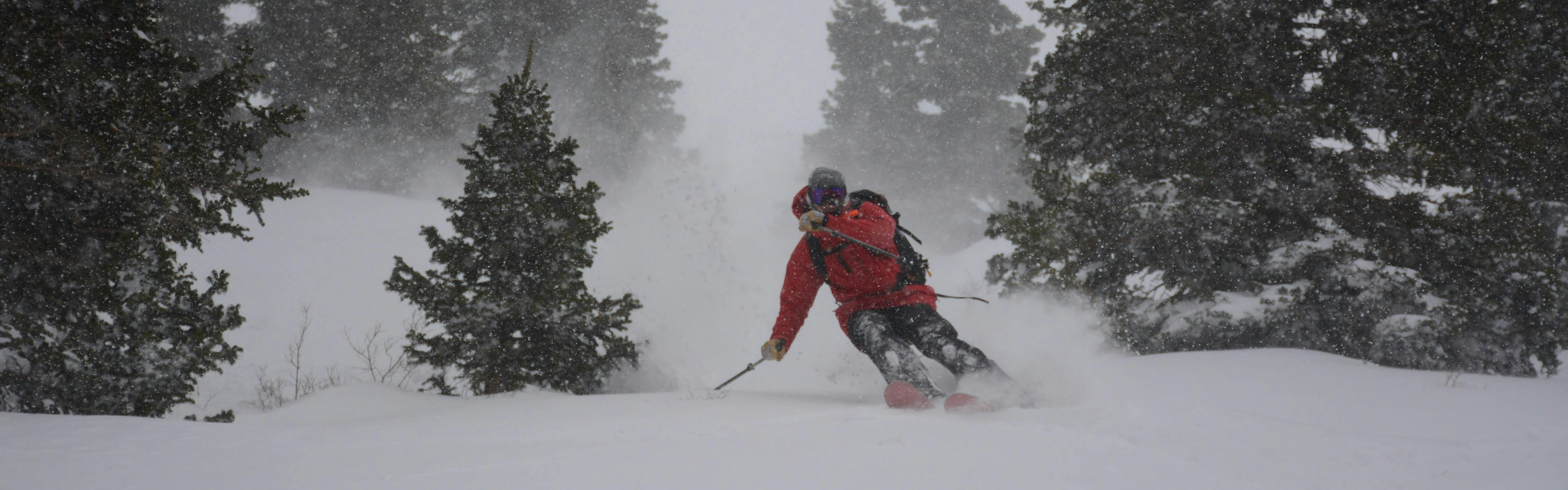 A skier turning down a snowy run with trees on either side. 