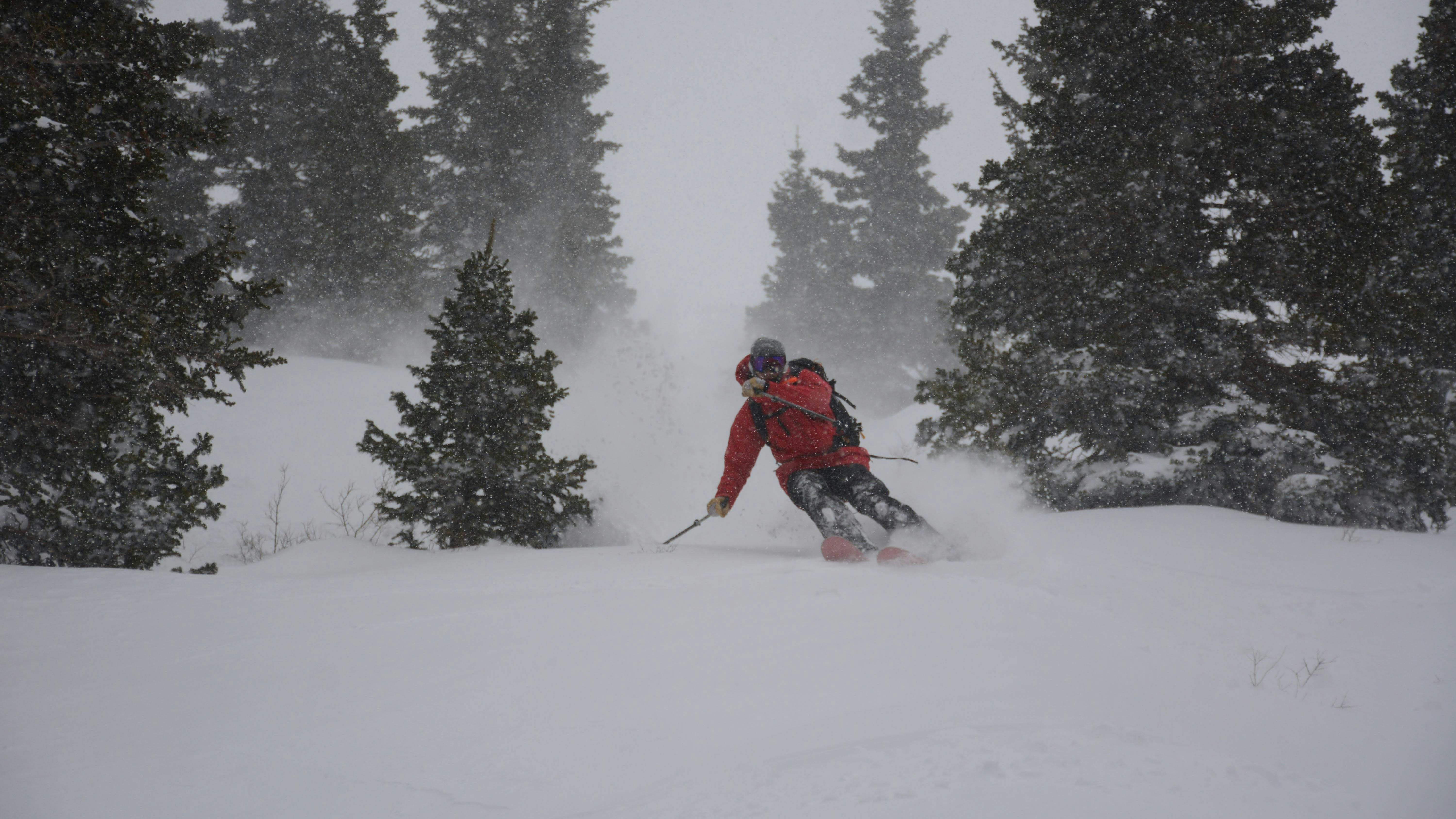 A skier turning down a snowy run with trees on either side. 