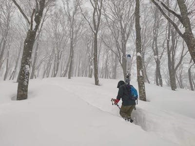 A man walks up a snowy trail with skis.