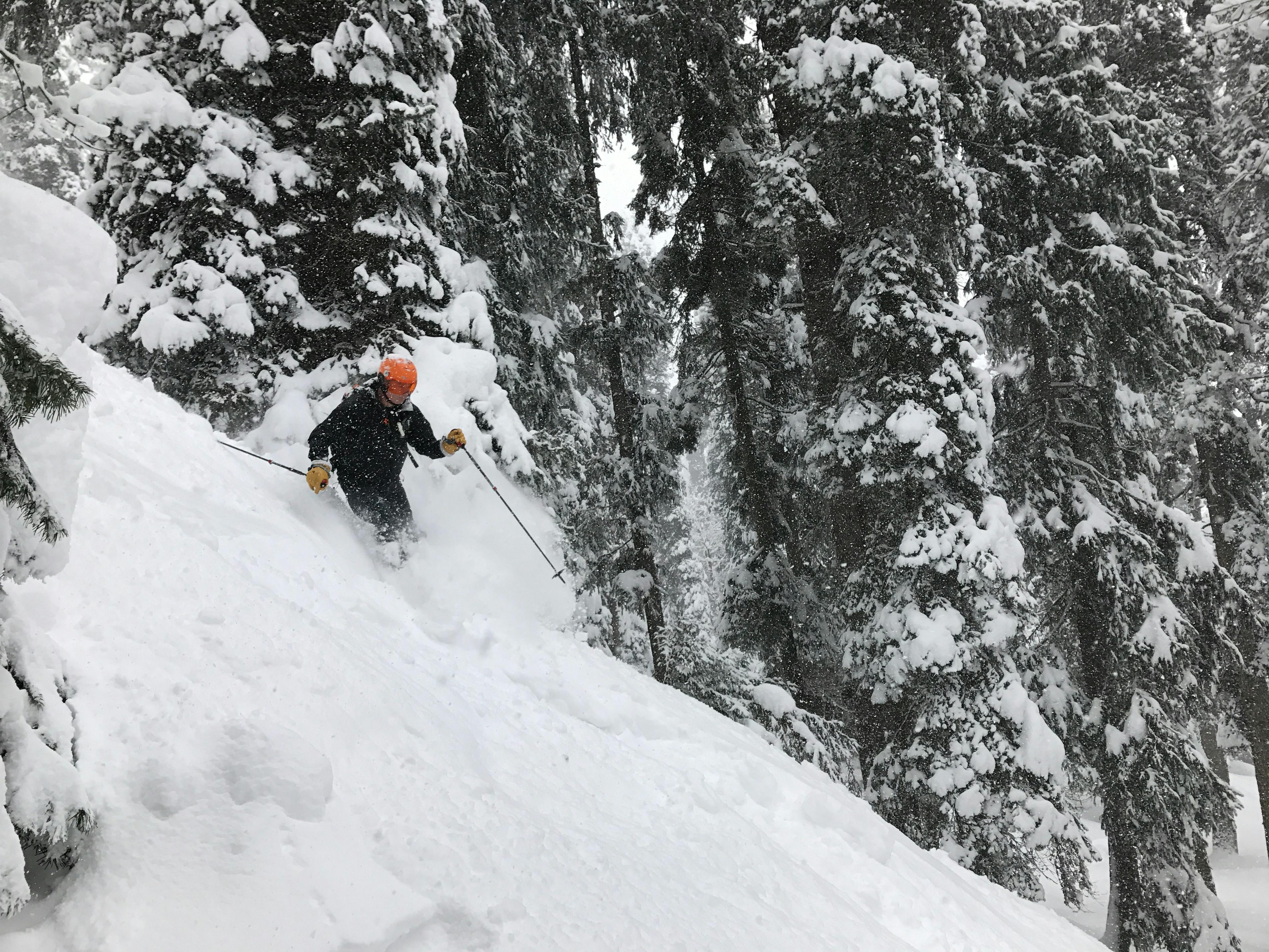 A man turning down a snowy ski run on skis. There are trees on either side of him. 