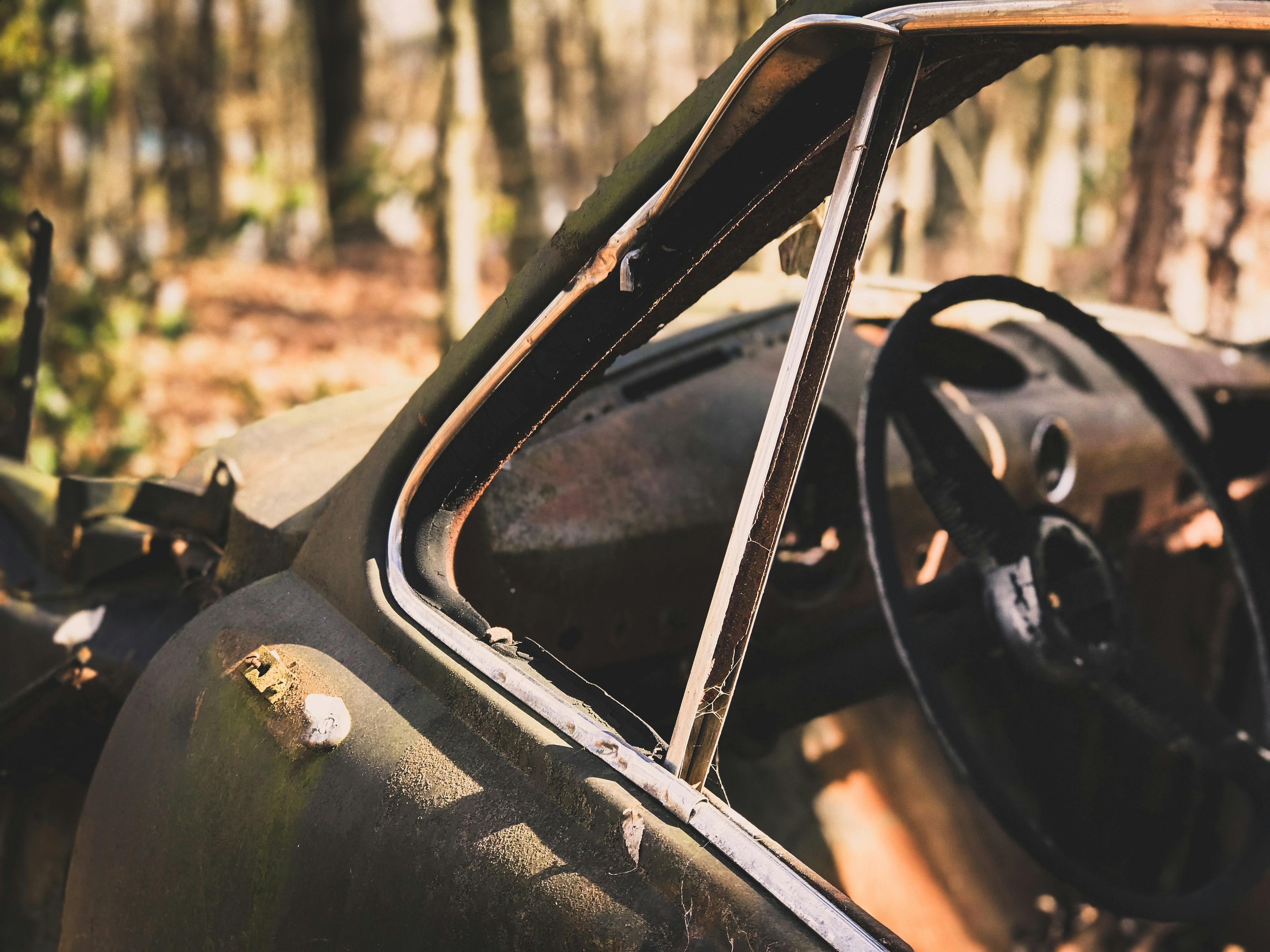 A rusty abandoned car sits among trees