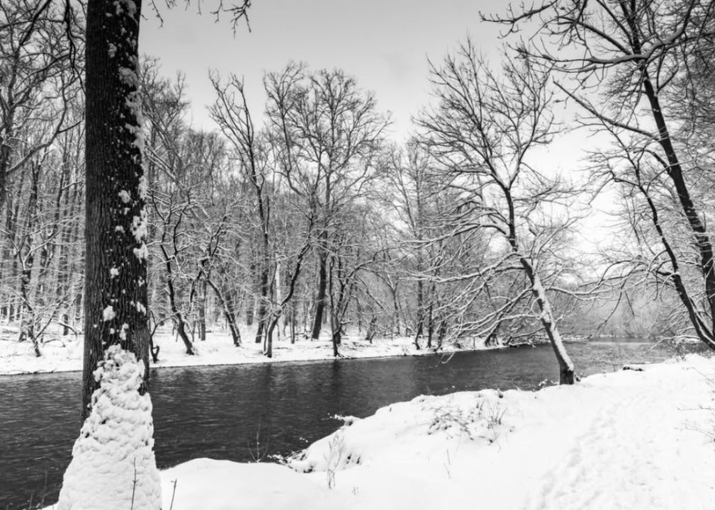 A snowy forest river scene