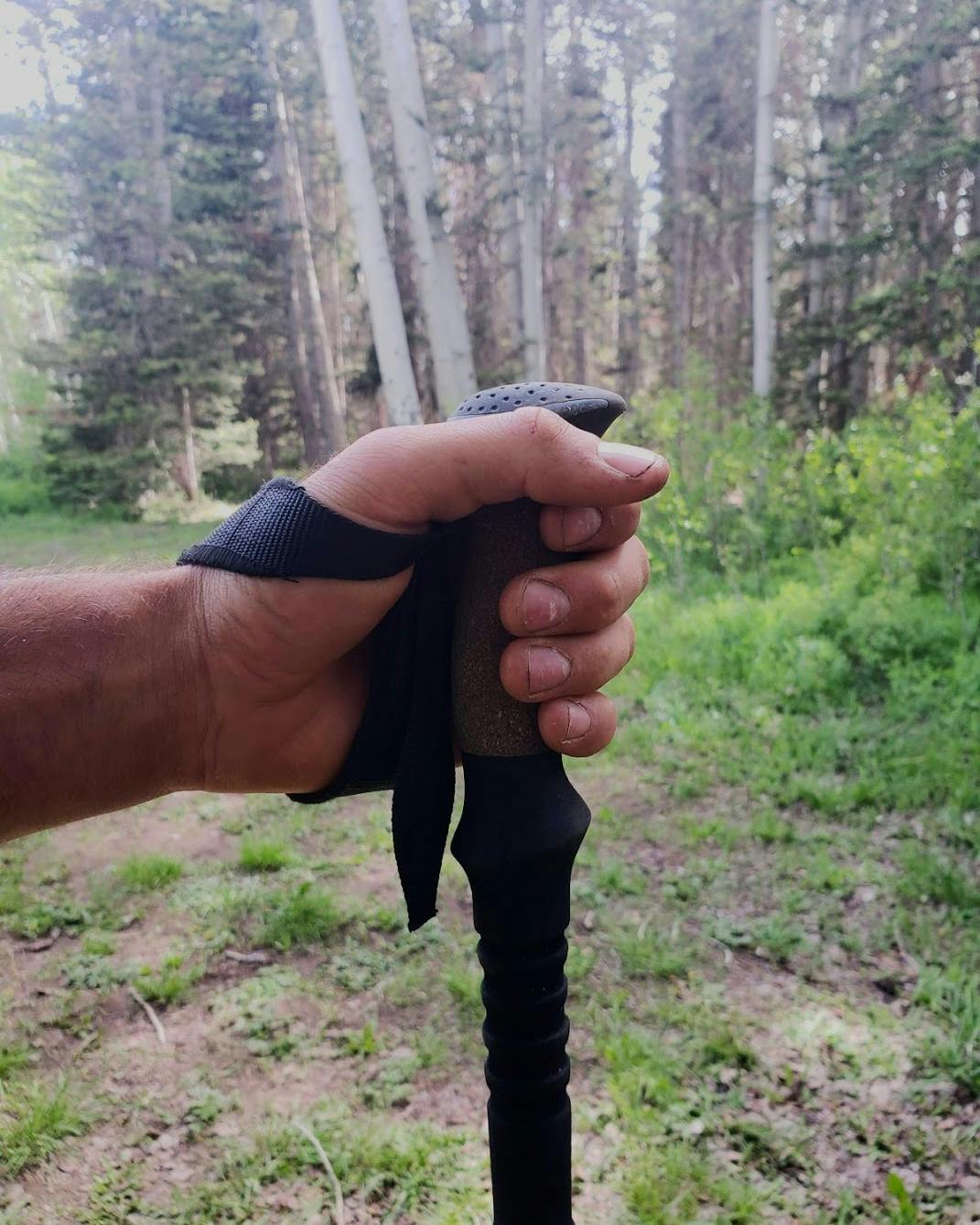 A hand holds a trekking pole equipped with a wrist strap
