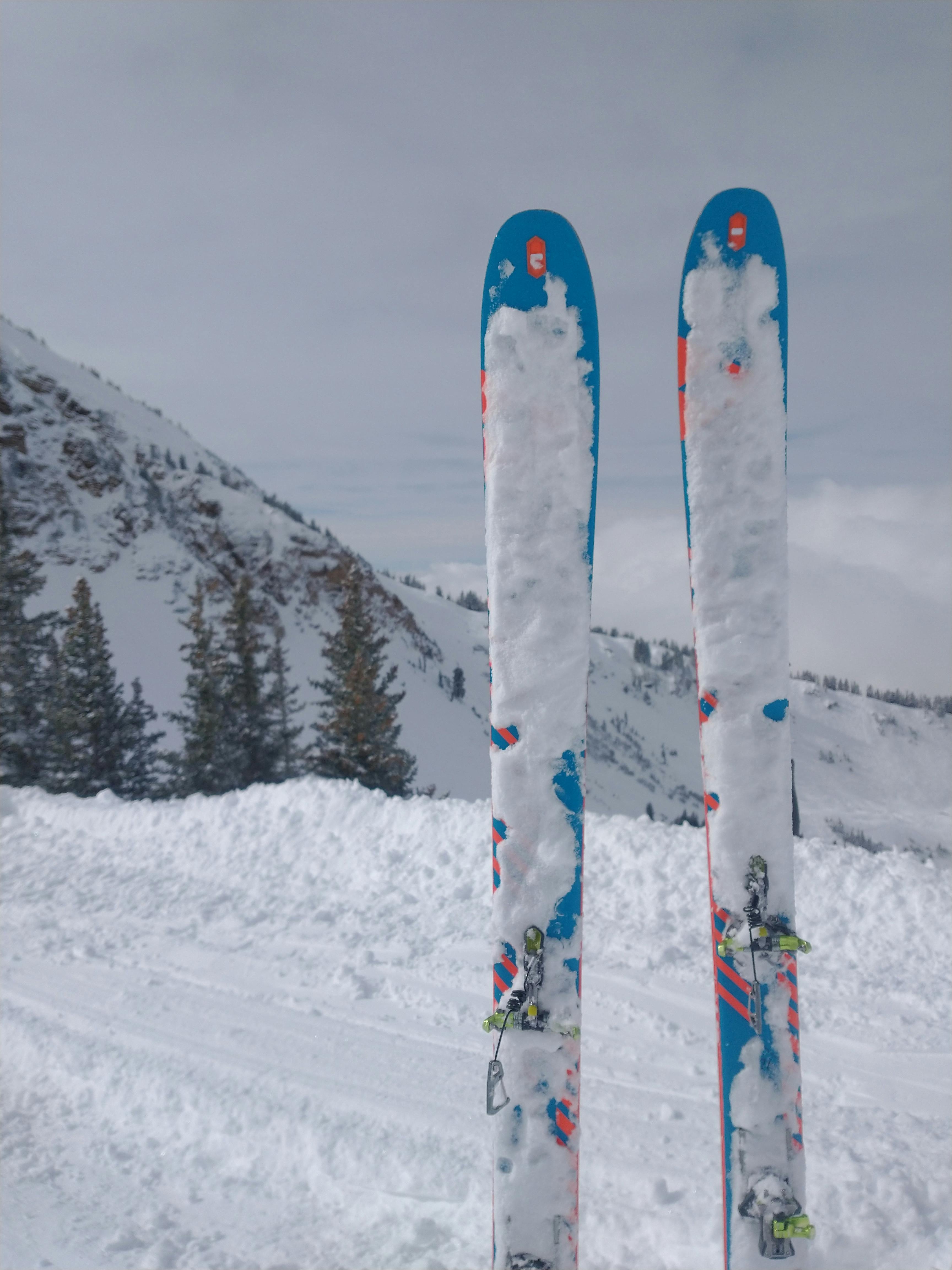 Expert Review: Fischer Hannibal 96 Carbon Skis · 2022 | Curated.com