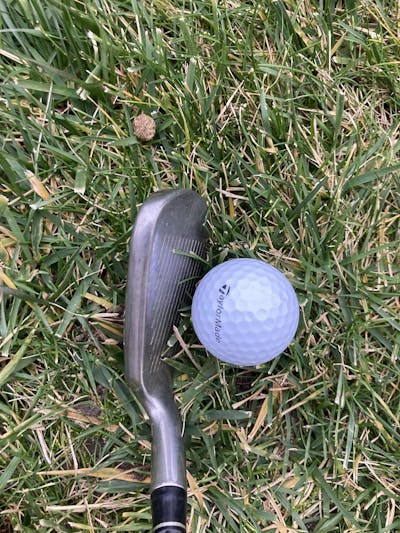 A TaylorMade Kalea Golf Ball in front of a golf club. 