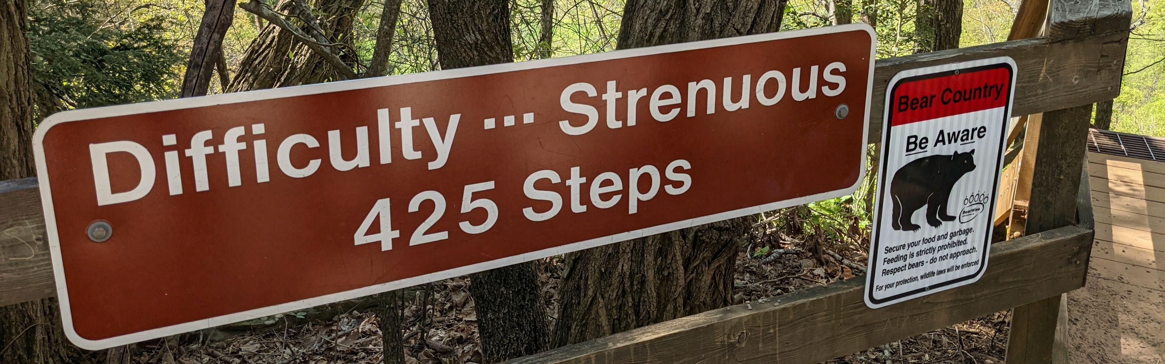 Sign found at the Approach Trail at Amicalola Falls State Park, GA that reads "Difficulty...Strenuous 425 Steps."