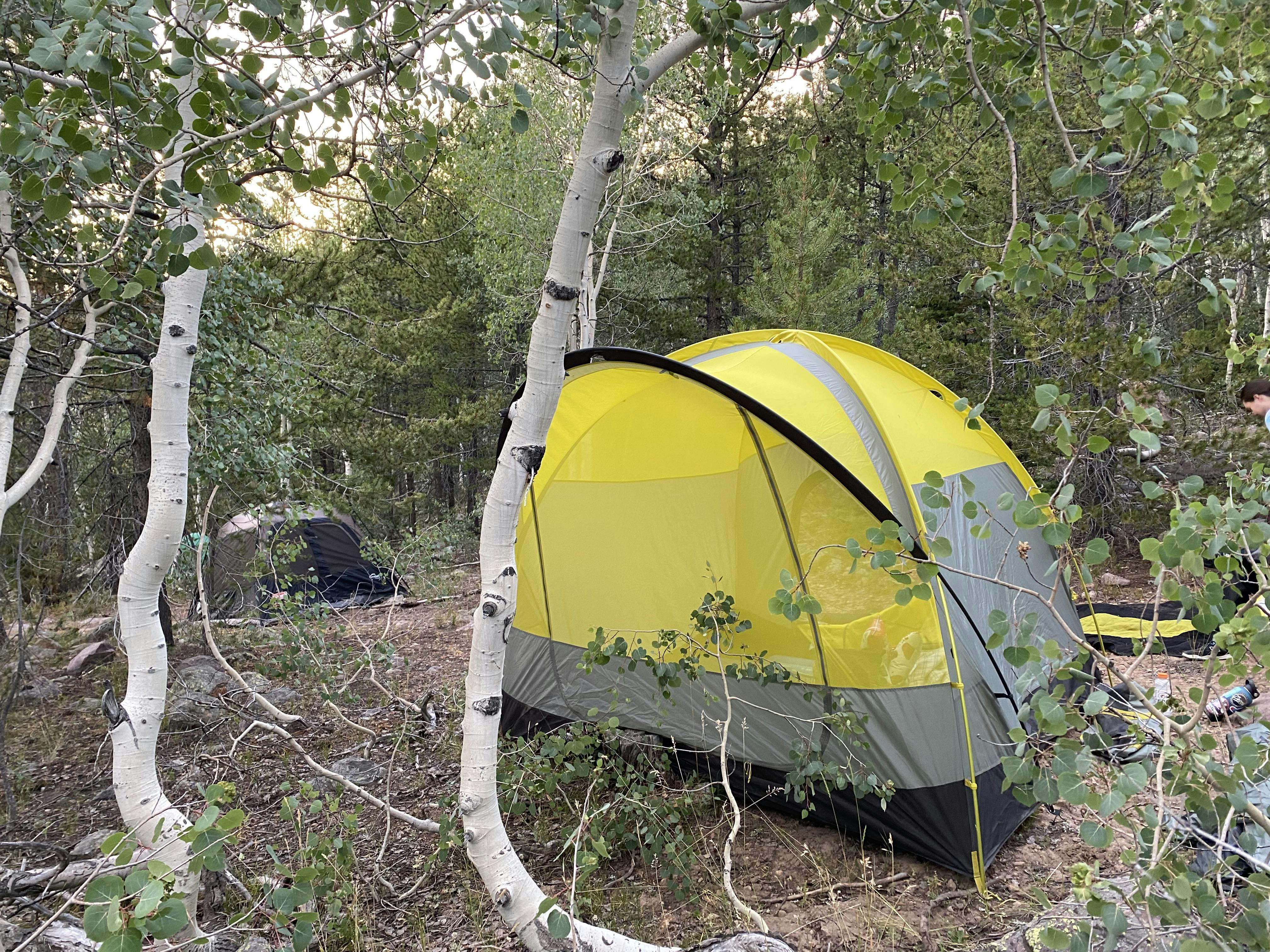 Wawona hotsell 4 tent