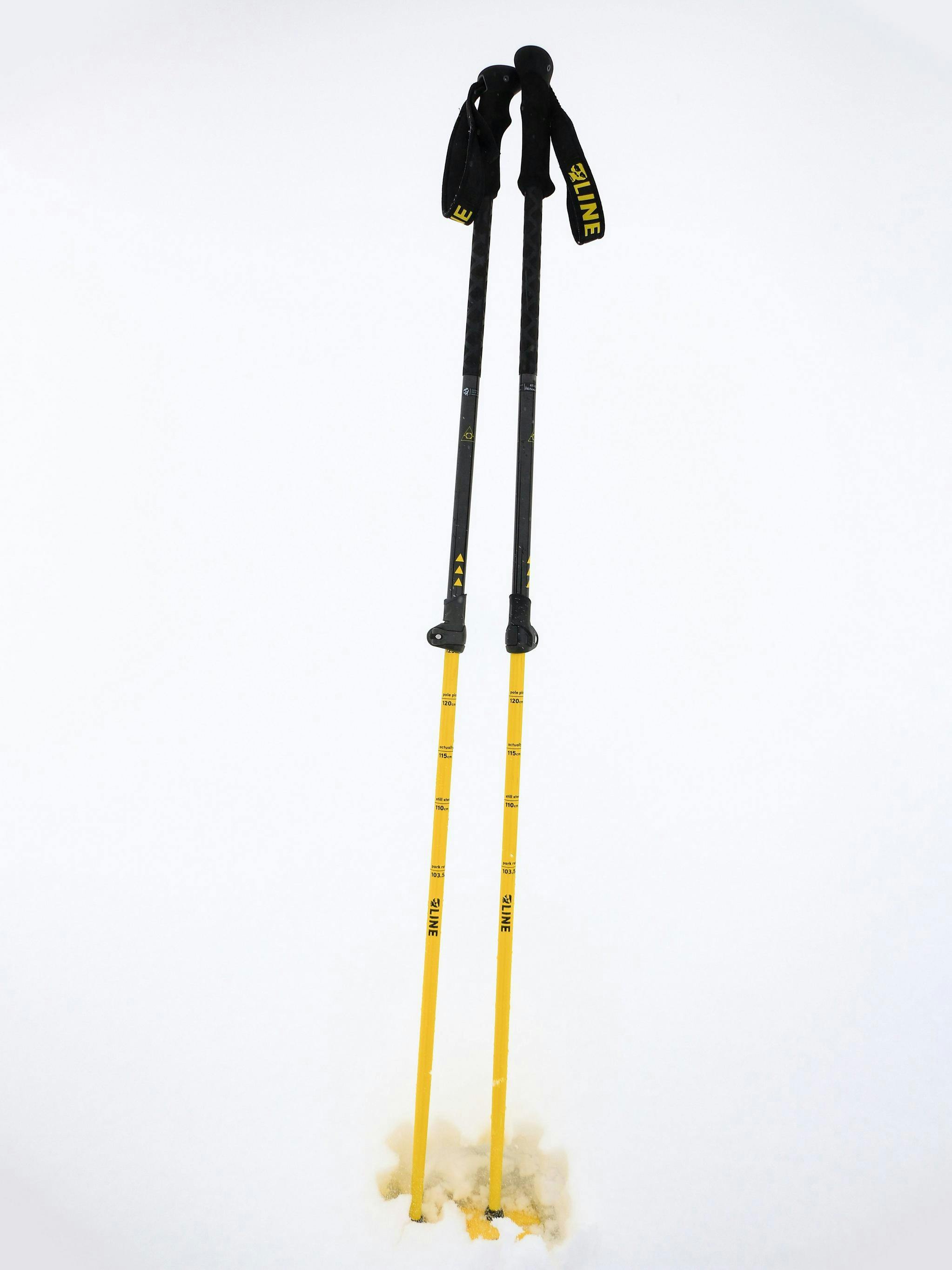 Line Vision Adjustable Ski Poles · 2022