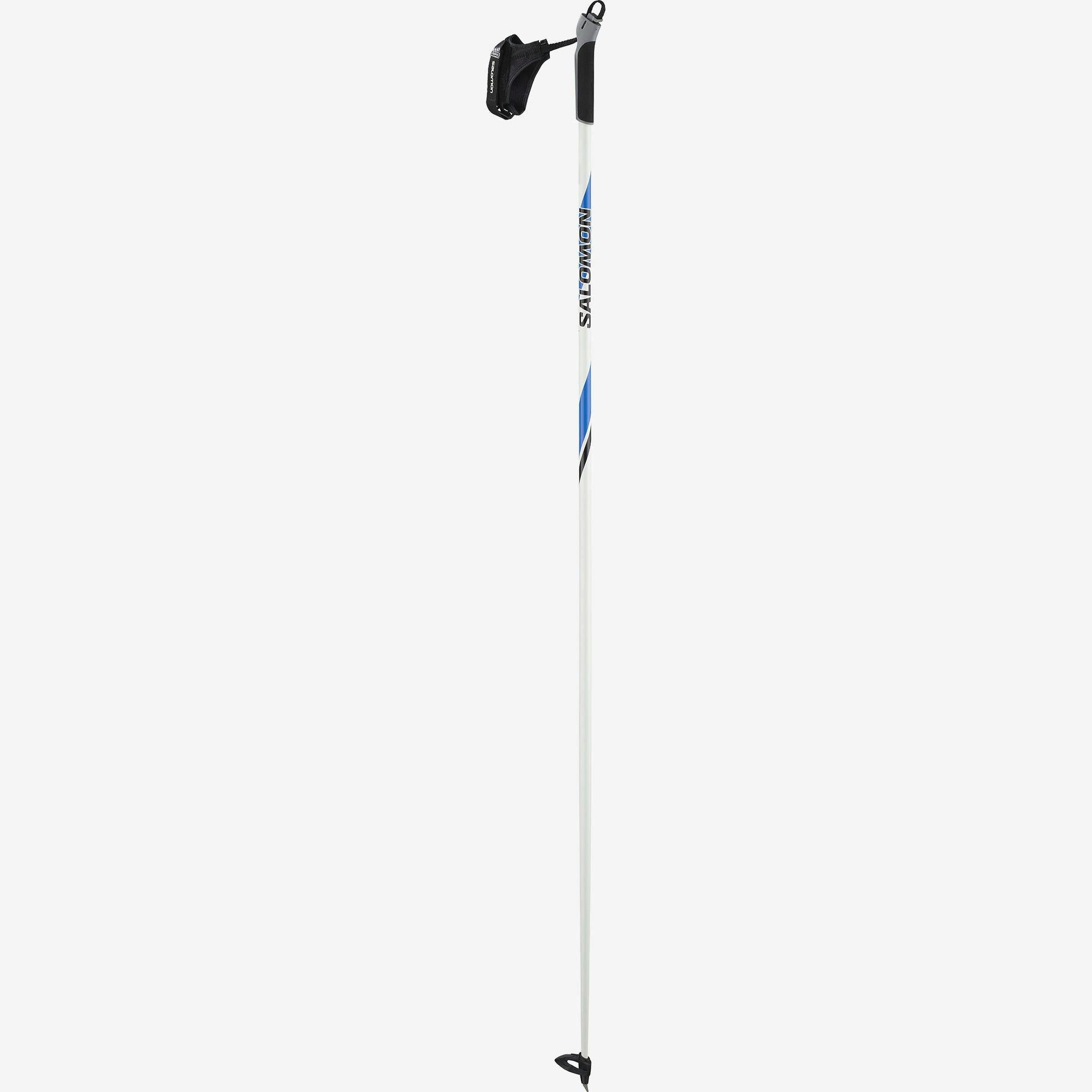 Salomon R 20 Ski Poles · 2020